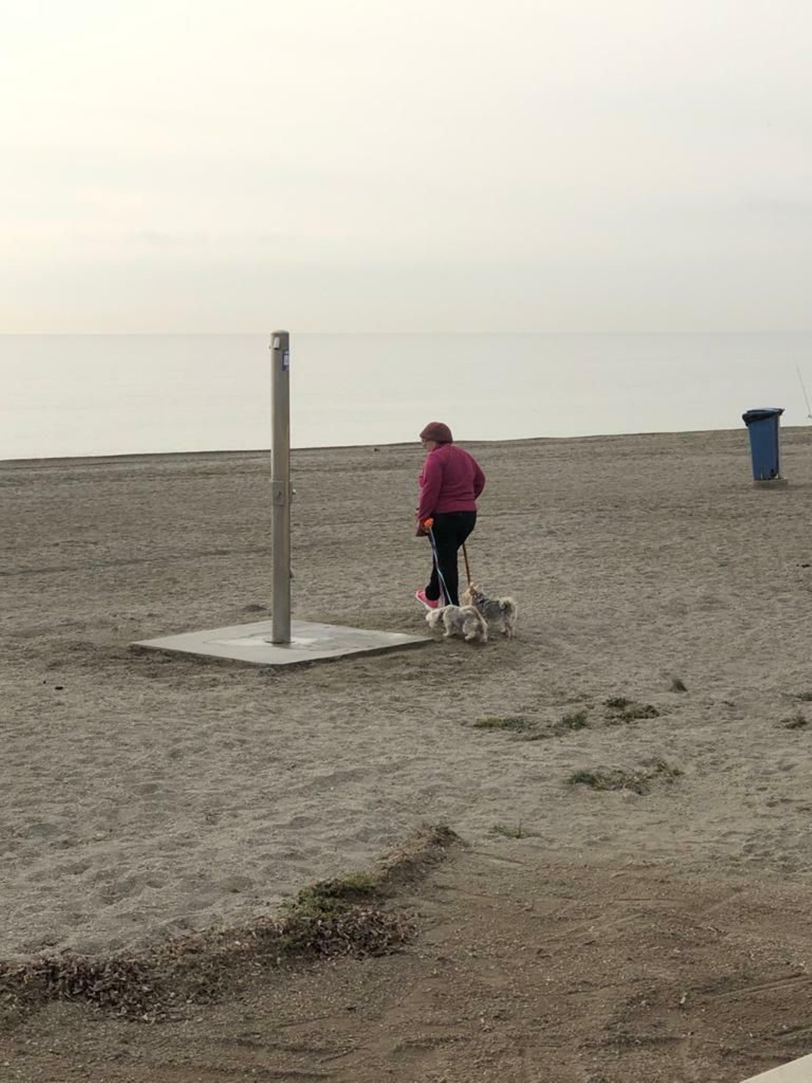 Imagen captada a primera hora de la mañana de una mujer con dos perros en la playa.