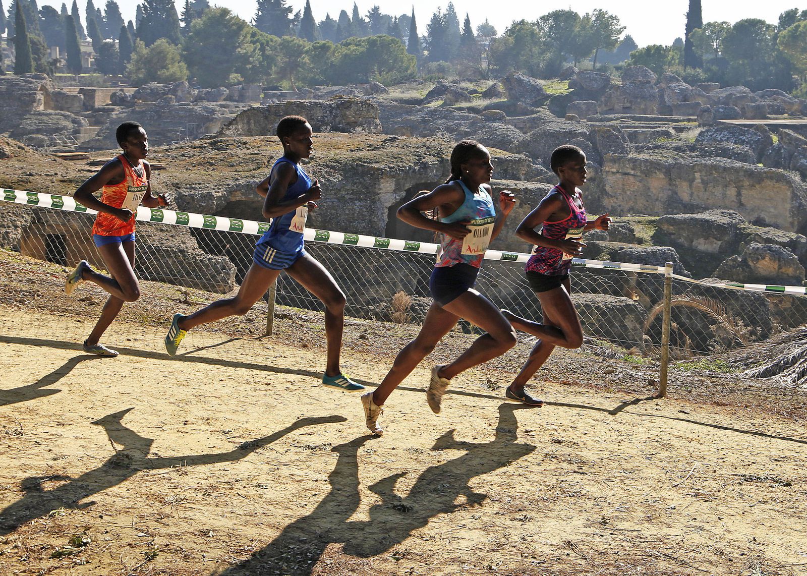 XXXVI edición del Cross Internacional de Itálica