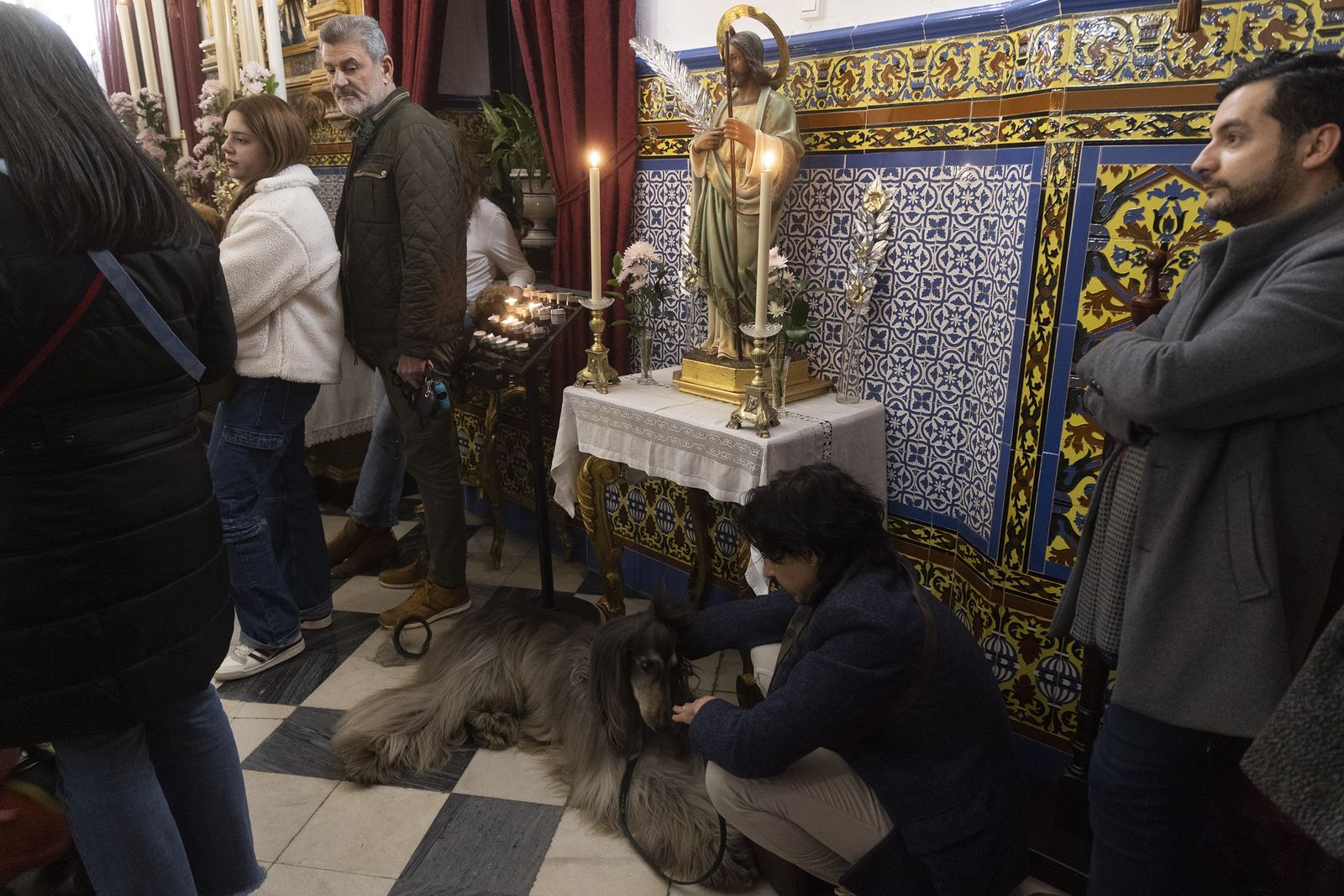 Bendición de animales por San Antón en la Divina Pastora, todas las fotos
