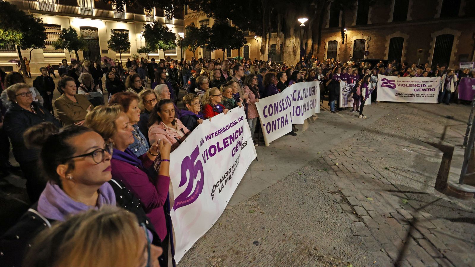 Día de la Eliminación de las Violencias Machistas