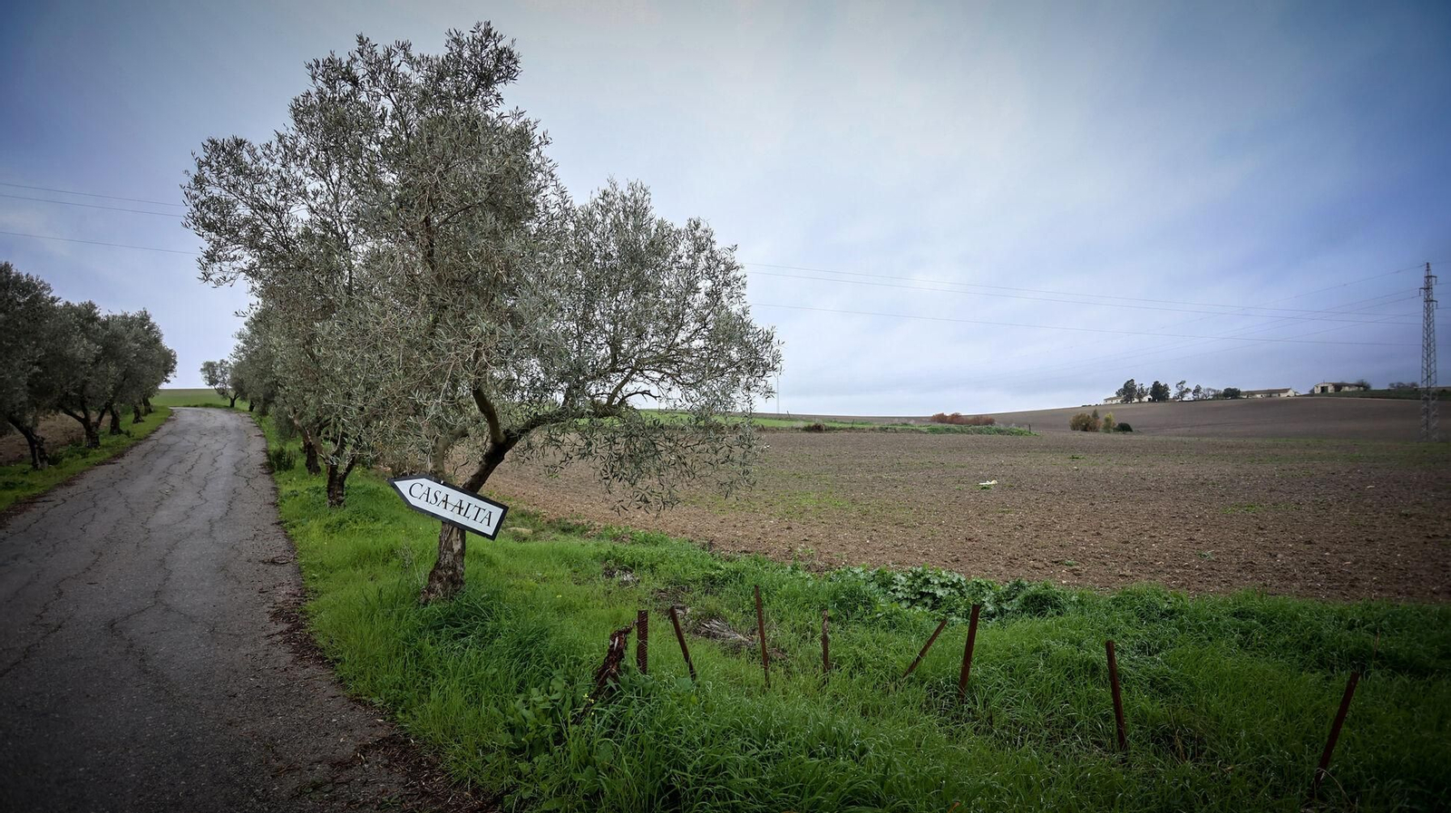 Paraje de Casa Alta donde se proyecta parte del parque eólico y fotovoltaico.