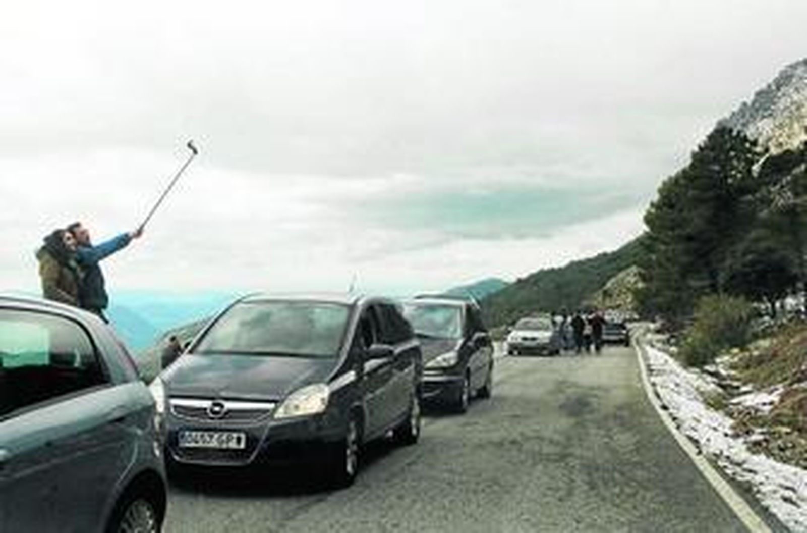 Oro blanco para la Sierra de Cádiz