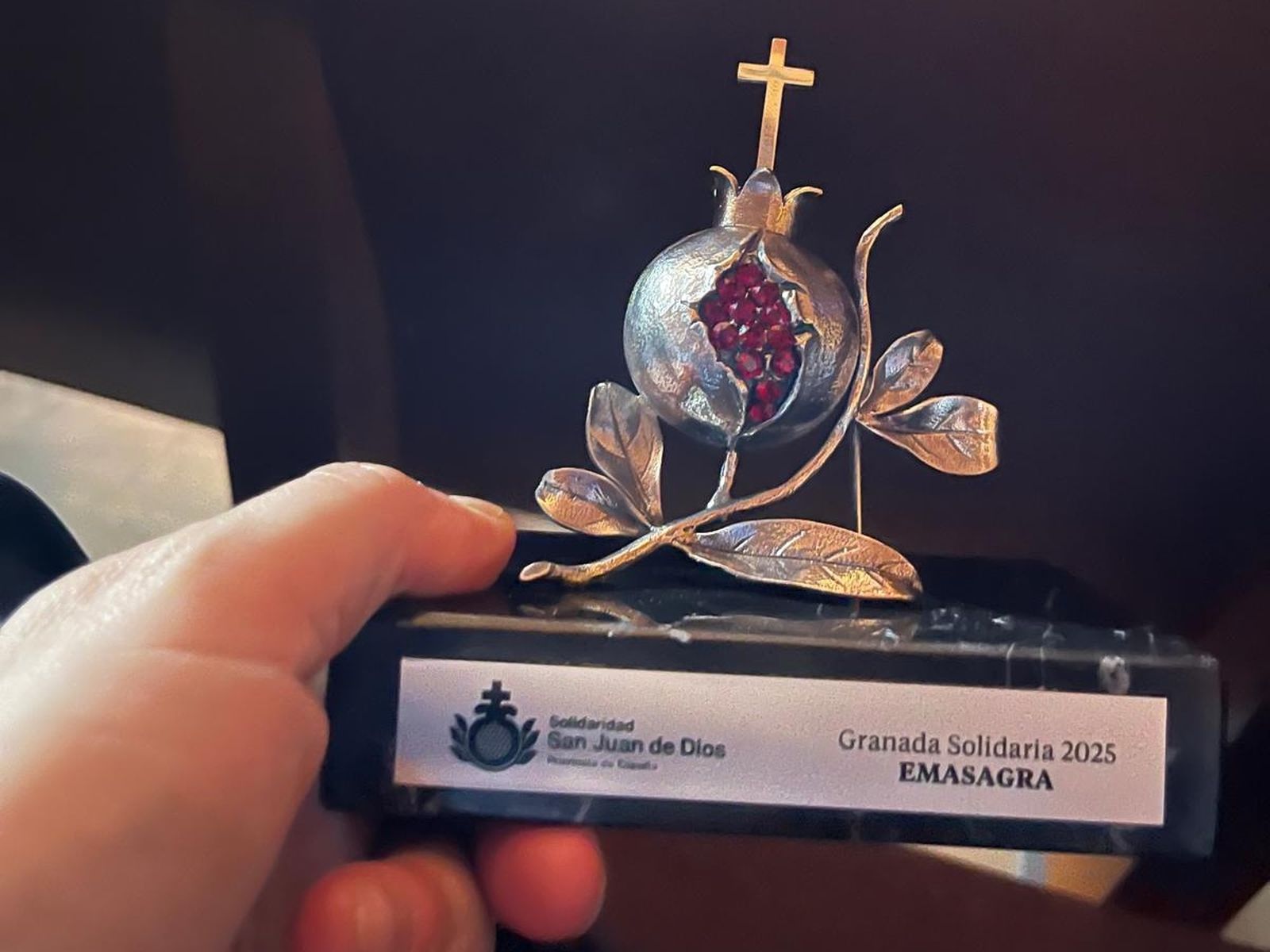 Granada Solidaria.