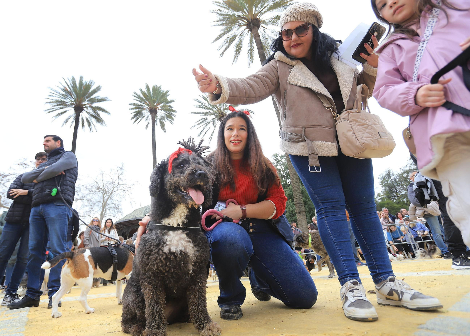 Jerez celebra San Antón 2025