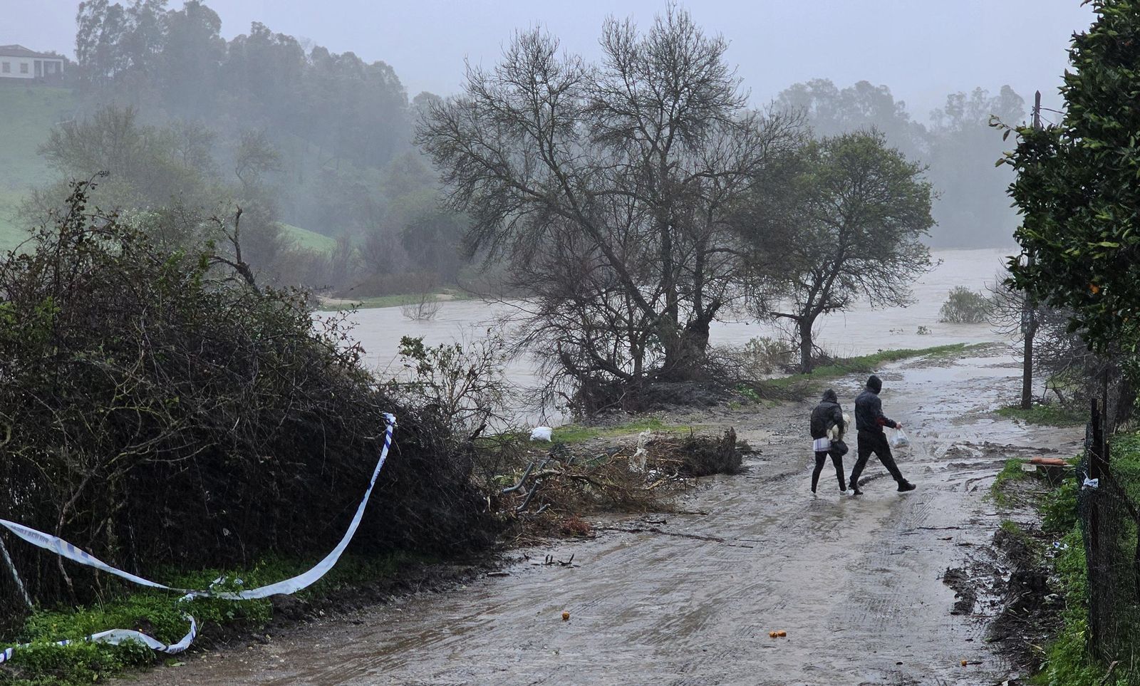 Fotos del temporal de lluvia y viento por la borrasca Kristin en Jimena de la Frontera, San Pablo de Buceite y San Martín del Tesorillo