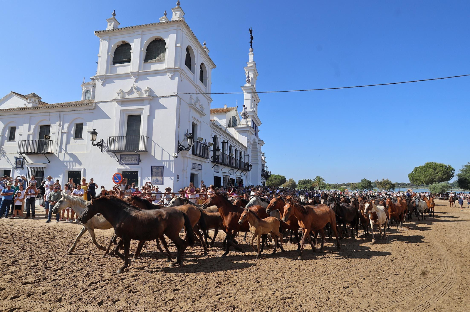 Las mejores imágenes de la Saca de las Yeguas 2025