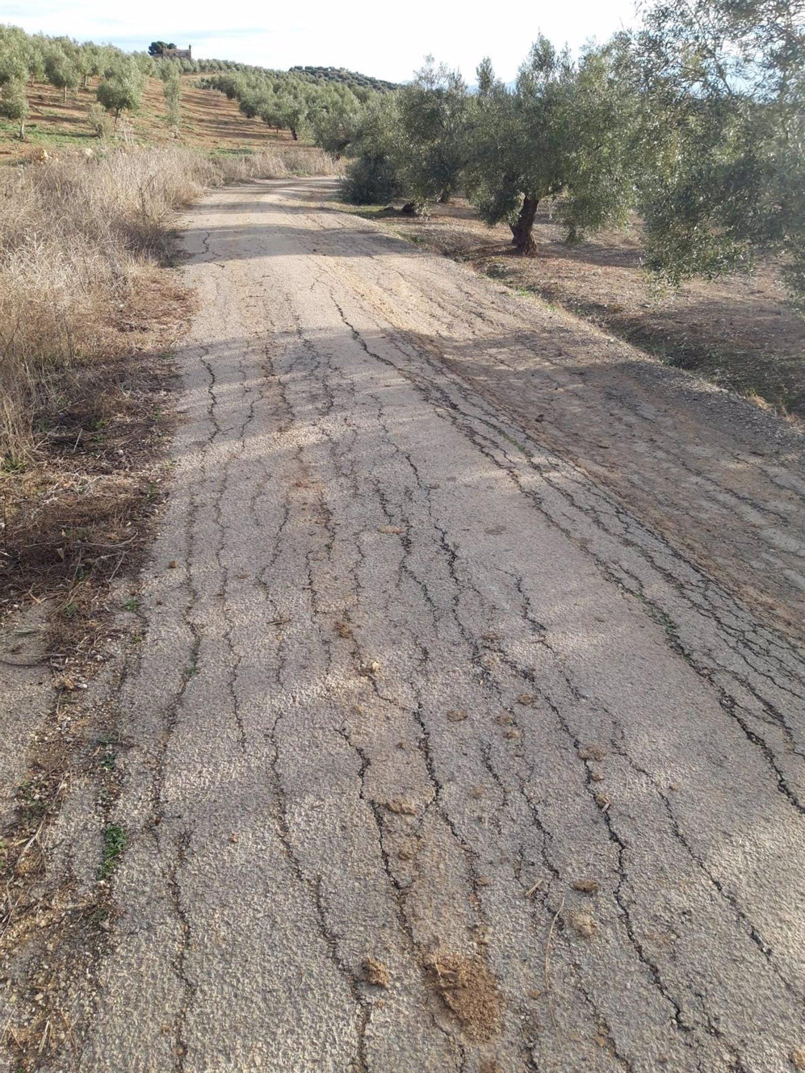 Estado de la Vía Verde del Aceite en uno de sus tramos.