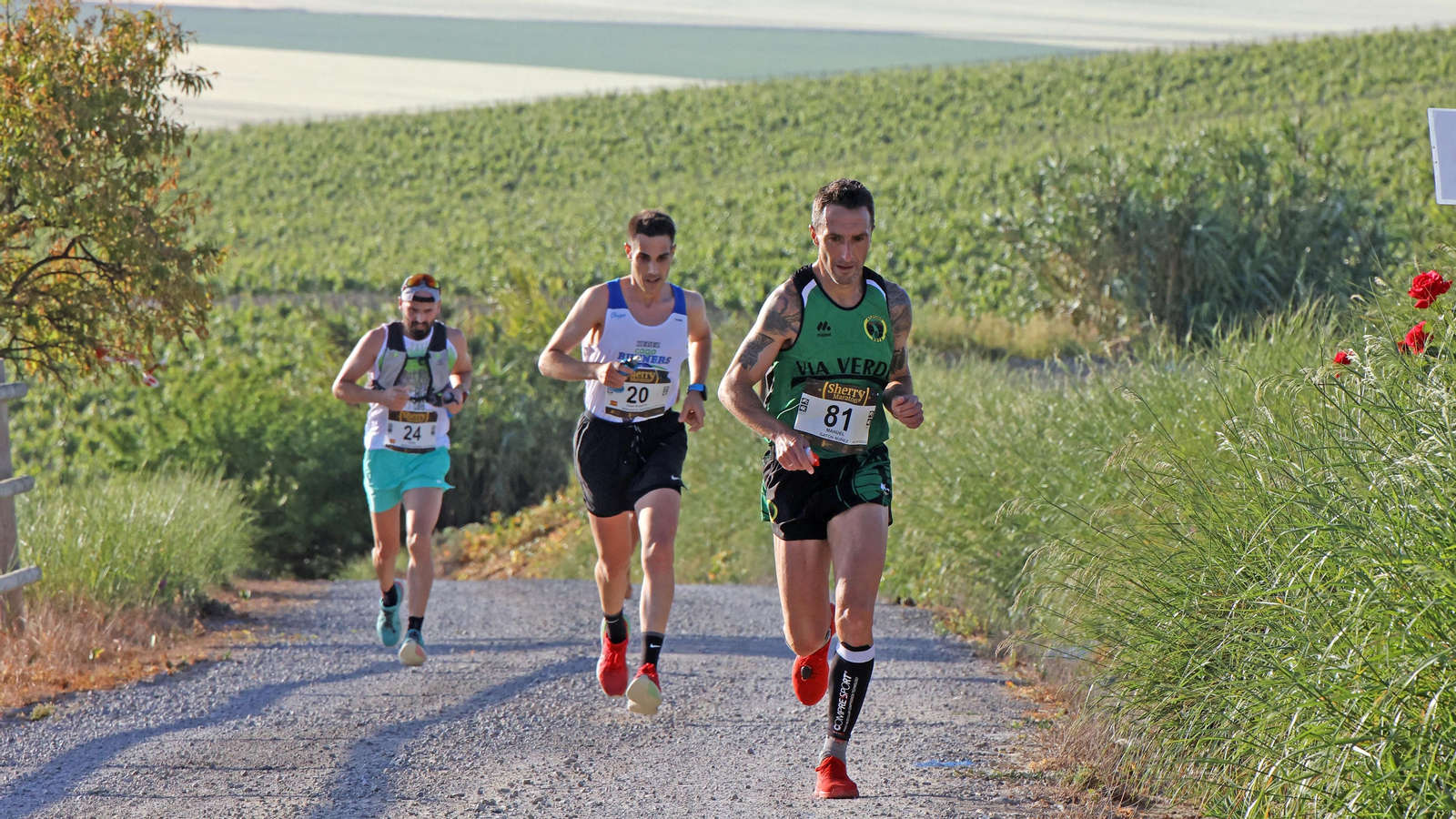 VI Sherry Maratón Jerez