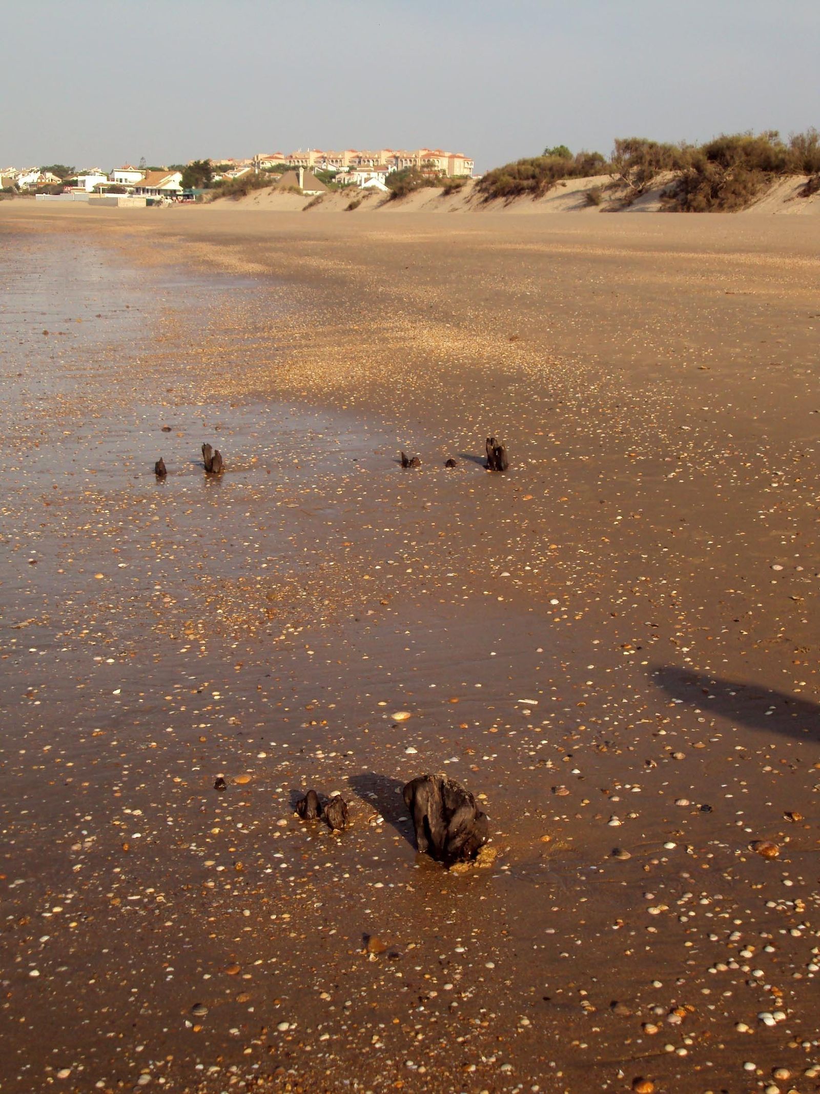Un investigador de la UHU reclama el descubrimiento del pecio en 2011