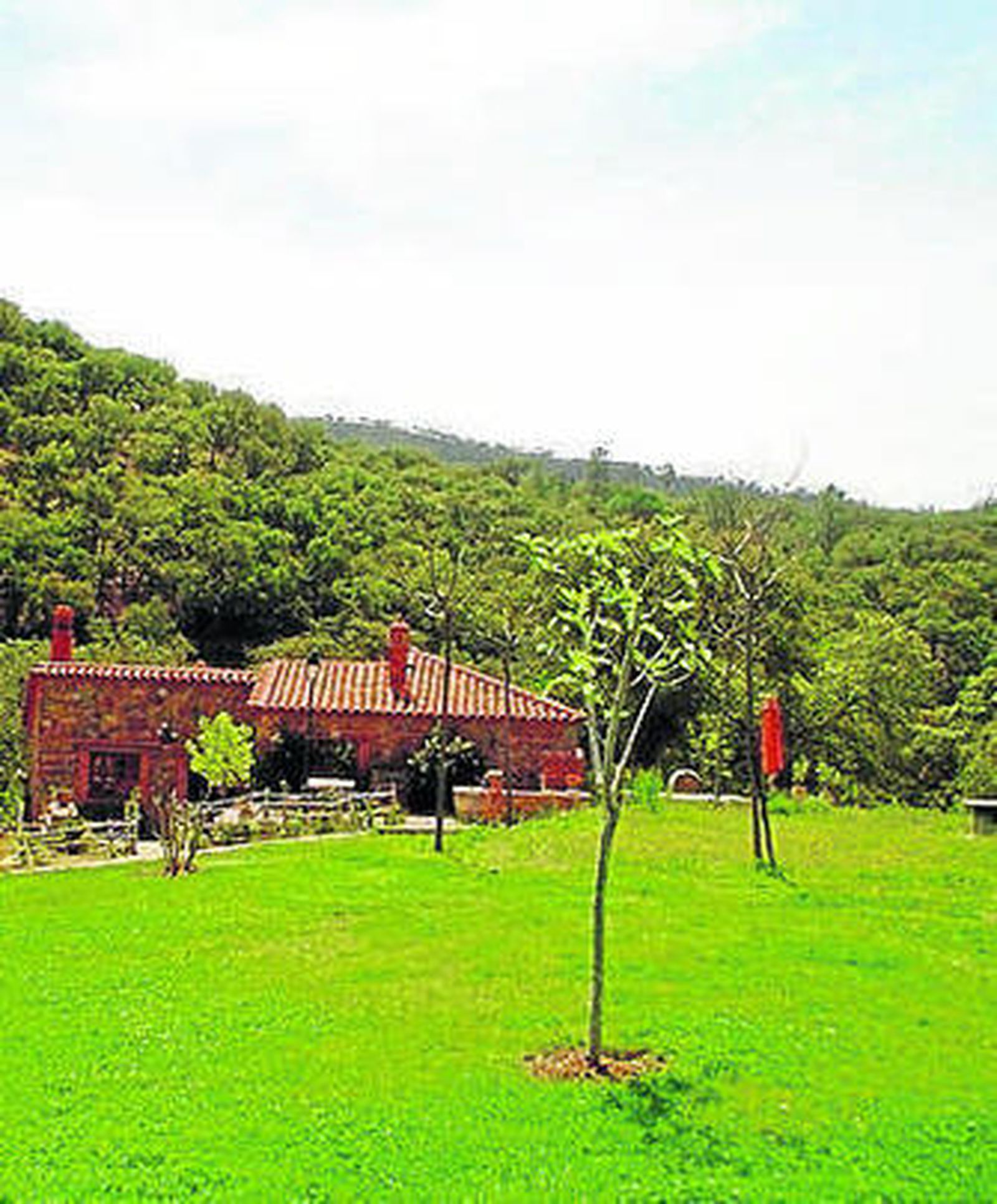 Turistas llegan al aeropuerto de Málaga.