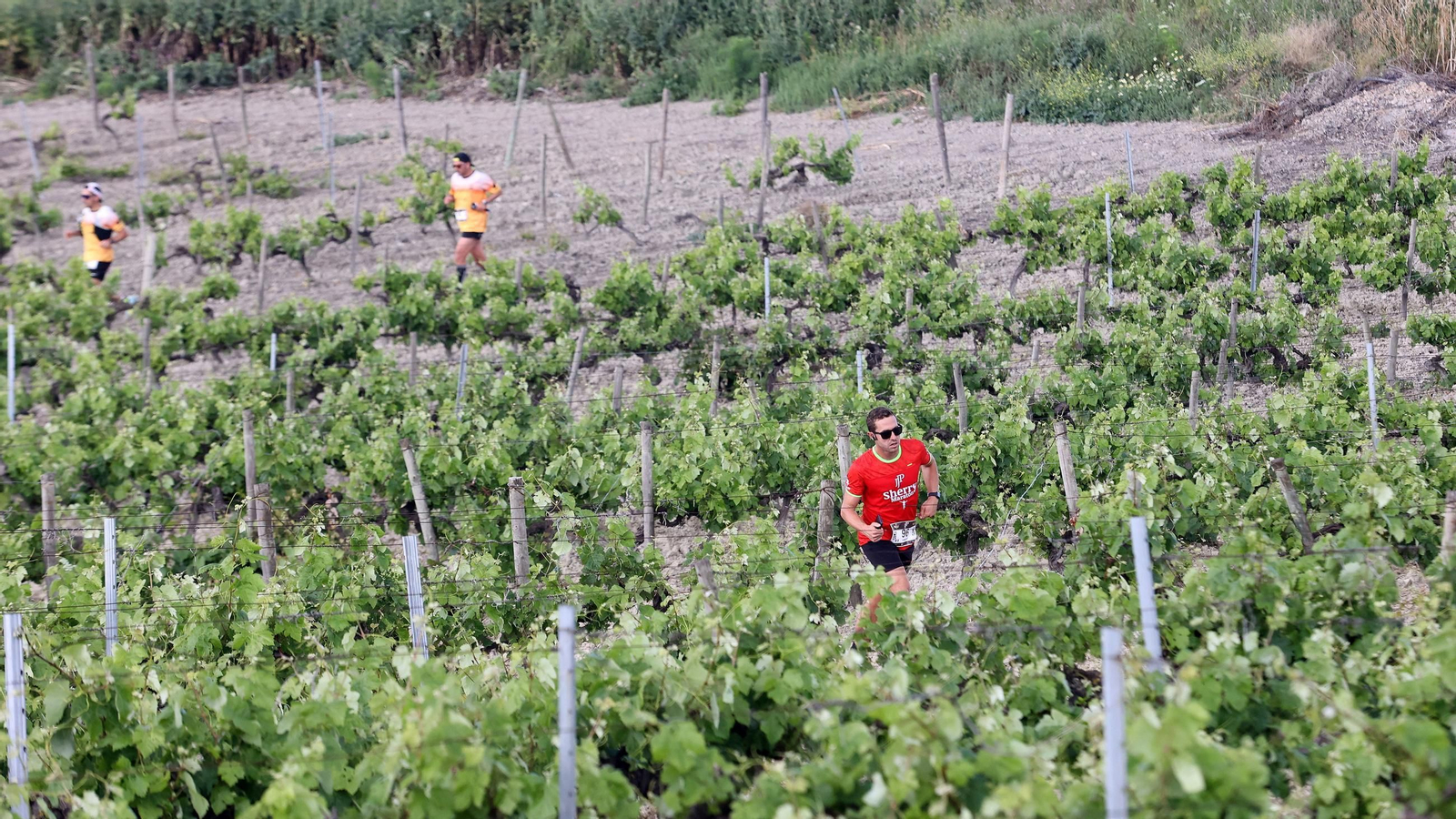 Búscate en la Sherry Maratón 2025 de Jerez (I)