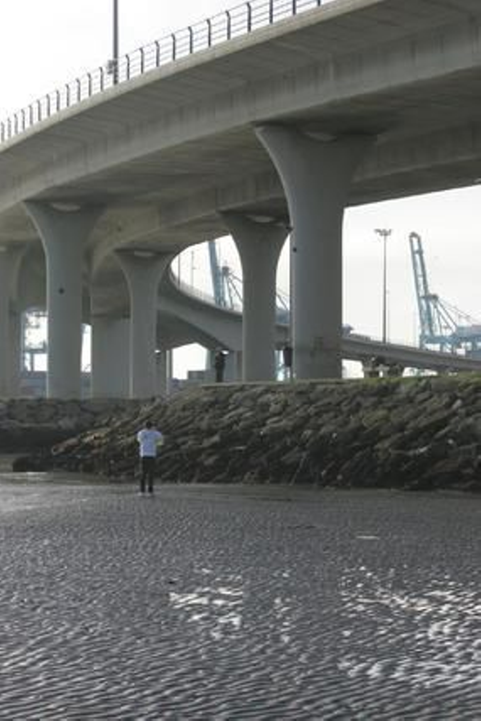 La marea histórica se vivió en las playas del Campo de Gibraltar con mucha espectación, sobre todo en la de Poniente de La Línea y El Rinconcillo de Algeciras./Fotos:Paco Guerrero/Shus Terán/J.M.Quiñones

Foto: Paco Guerrero/J.M.Q./Shus Teran/