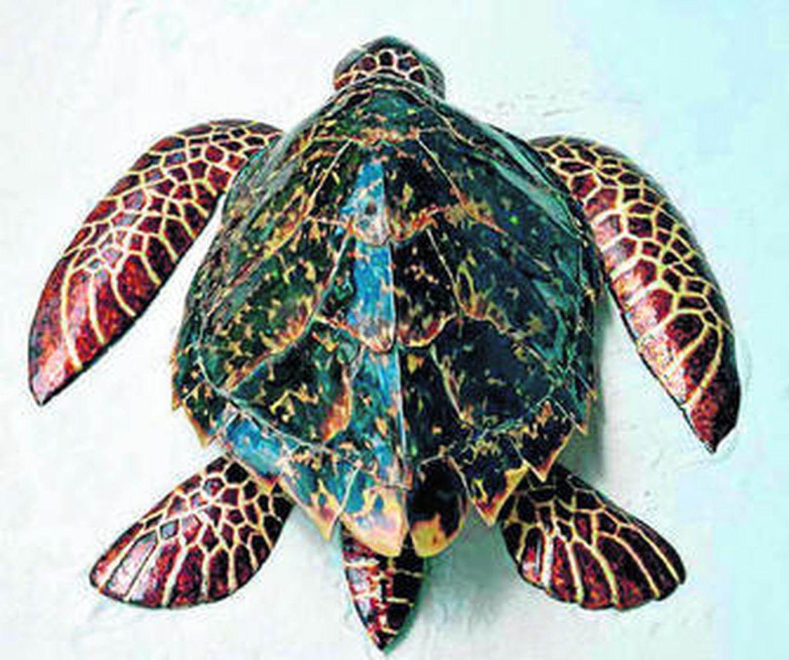 Diferentes usos del papel