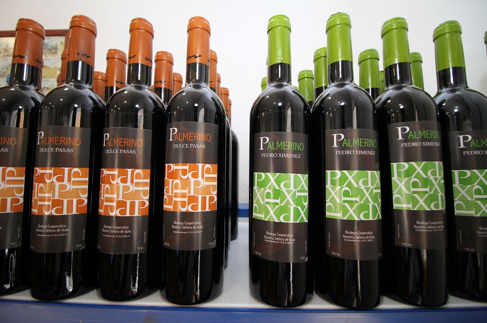 Imágenes de la vendimia en el Condado de Huelva.