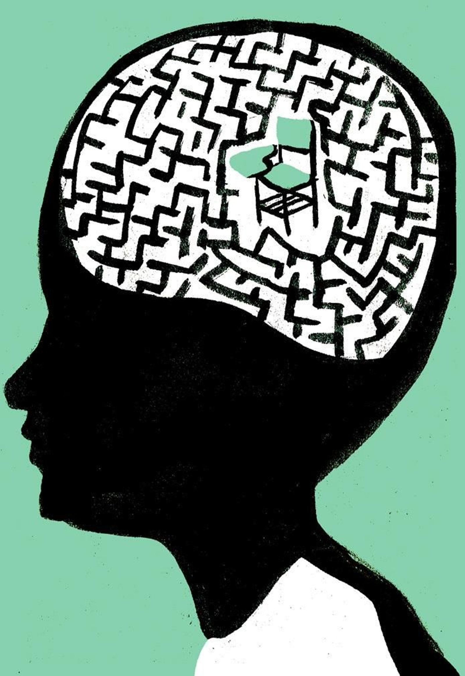 Neurociencia y educación