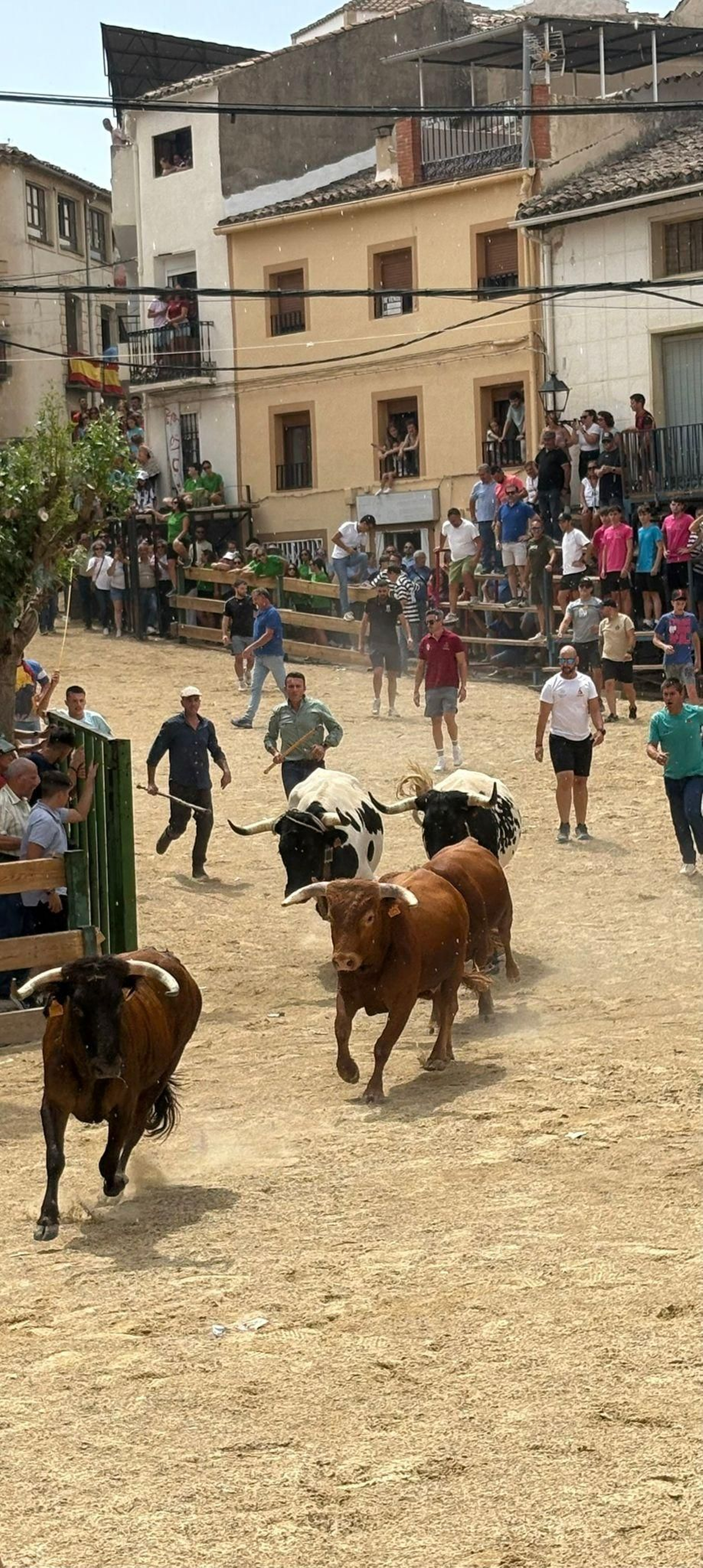 Saltos y fintas de vértigo en los encierros de Santiago de la Espada, en imágenes