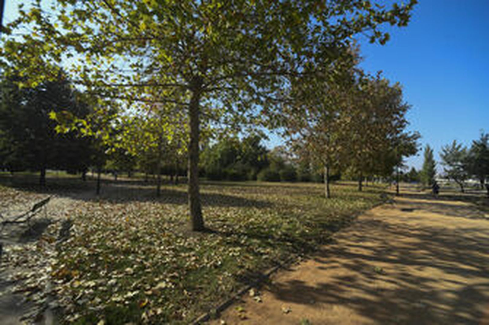 Extinguido el incendio en el parque Tico Medina por rastrojos y vegetación