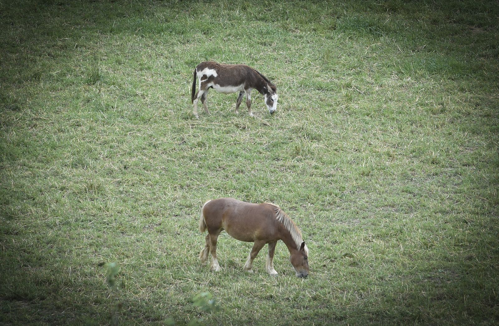 La resistencia en las calles de Sevilla Este y La puebla del Río: corazón de Sevilla y puerta de Doñana