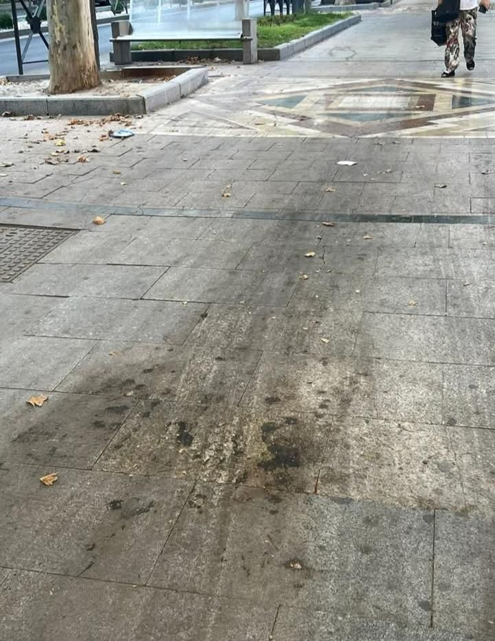 Suciedad en el paseo de la Estación.