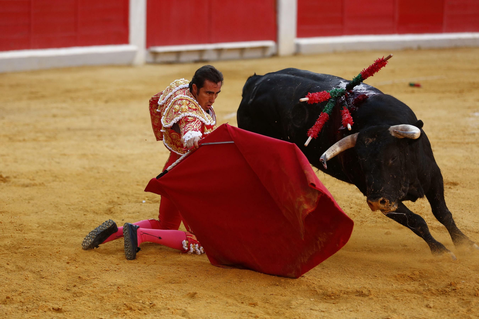 Las mejores imágenes de los toros en el Corpus