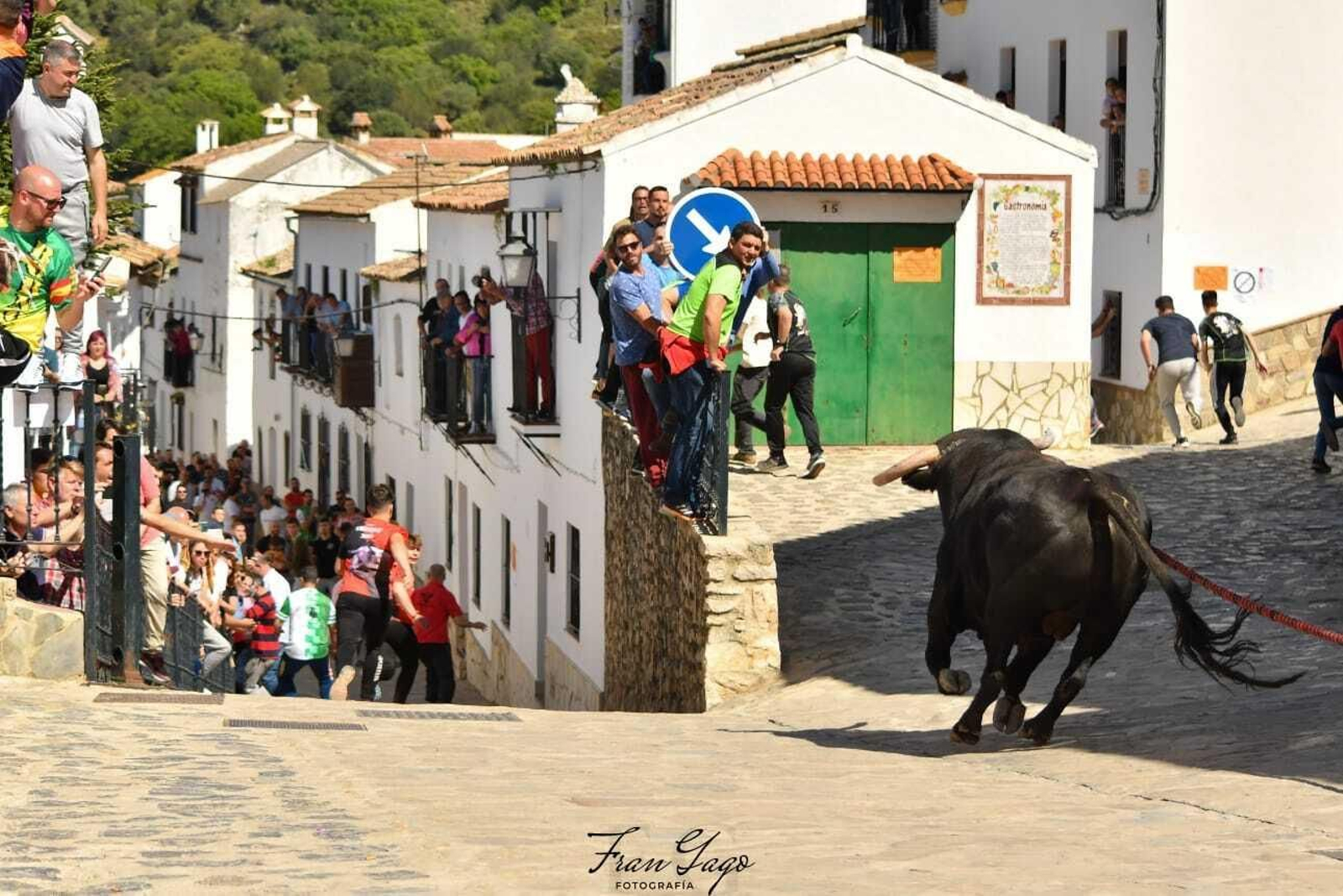 El Toro de Cuerda en Benamahoma