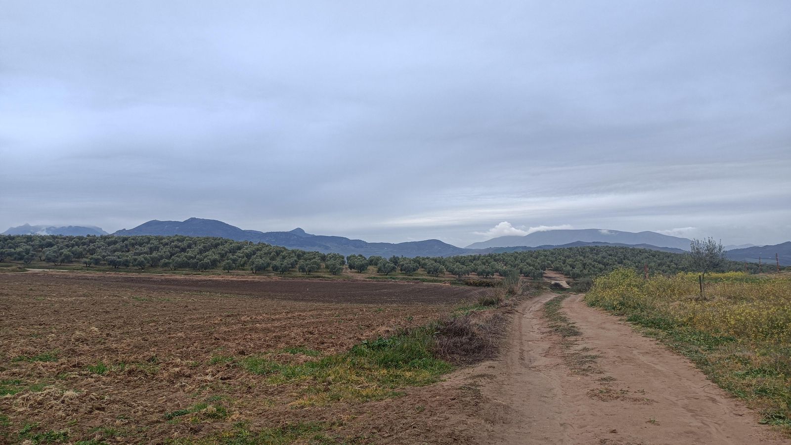 Iremos un tramo entre campos de cultivo. El sendero puede presentar zonas muy erosionadas.