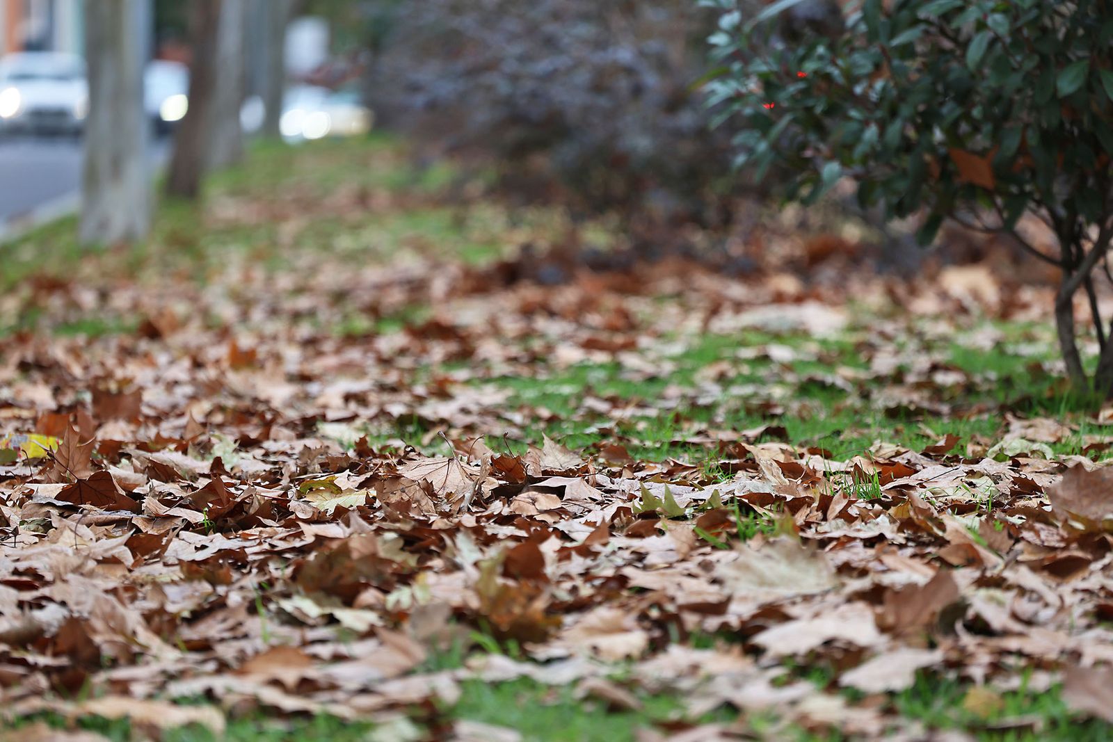 Lluvia y frío intenso en la mañana de miércoles