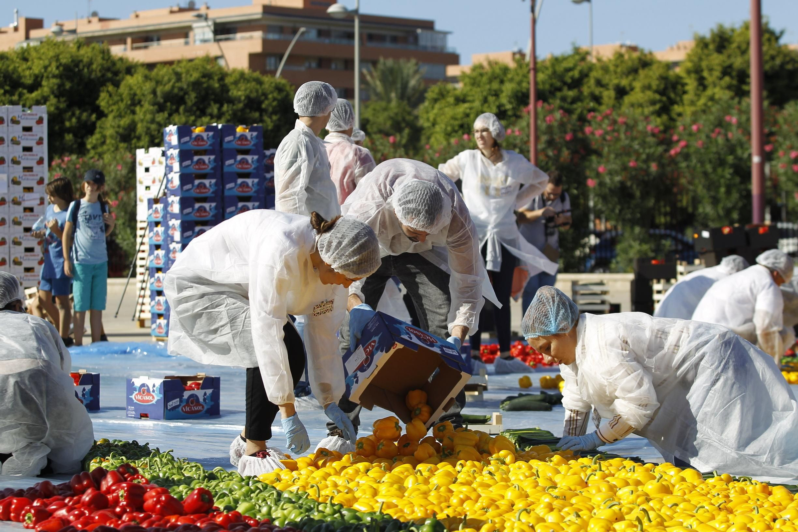 Fotogalería Récord Guinness Corazón Hortalizas Almería