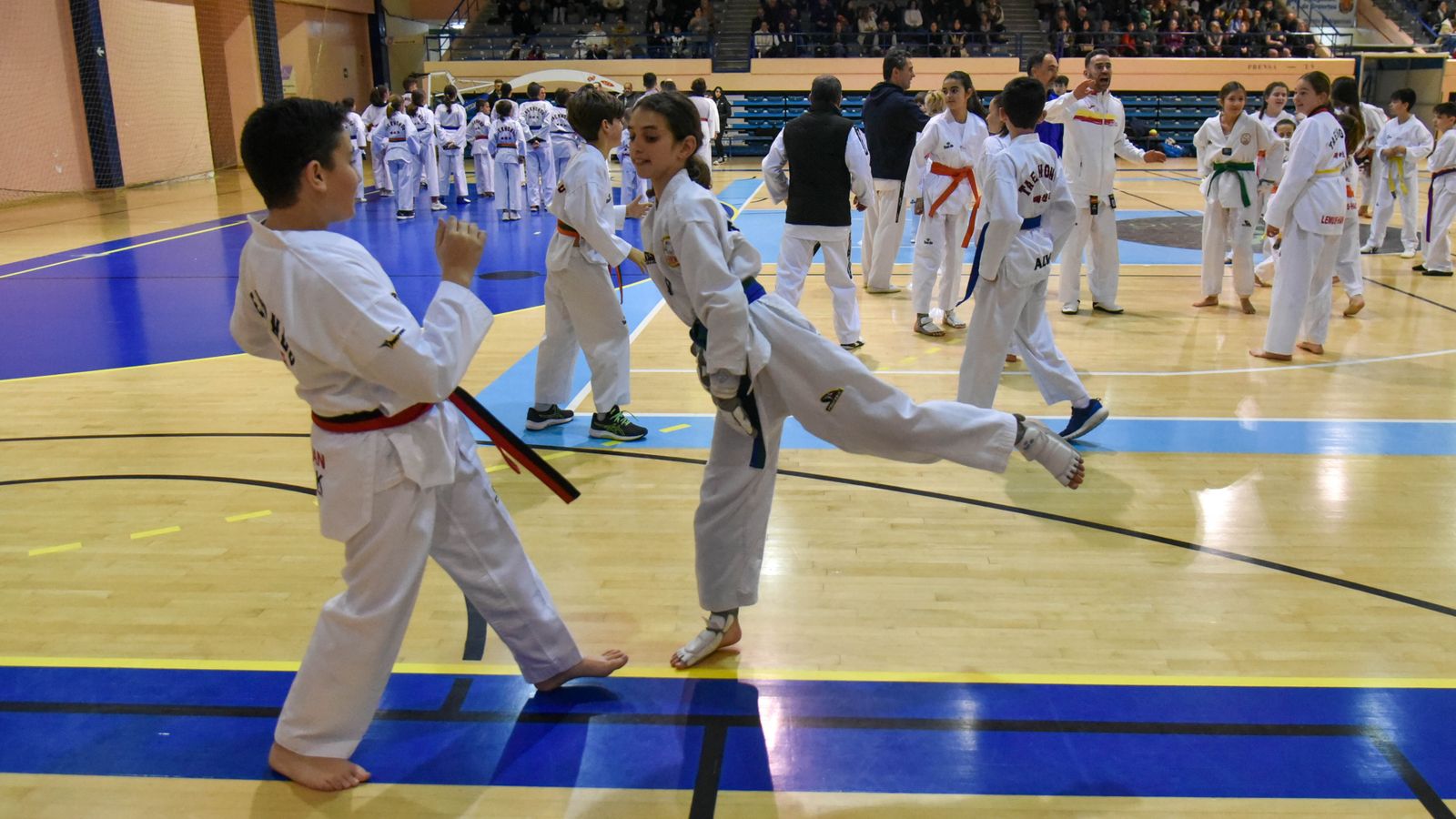 Las fotos de la concentración de Taekwondo Olimpico en Algeciras