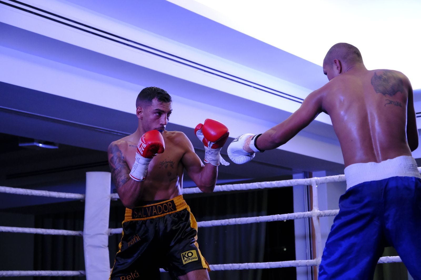 Fotogalería de la velada de boxeo Diamonds Boxing