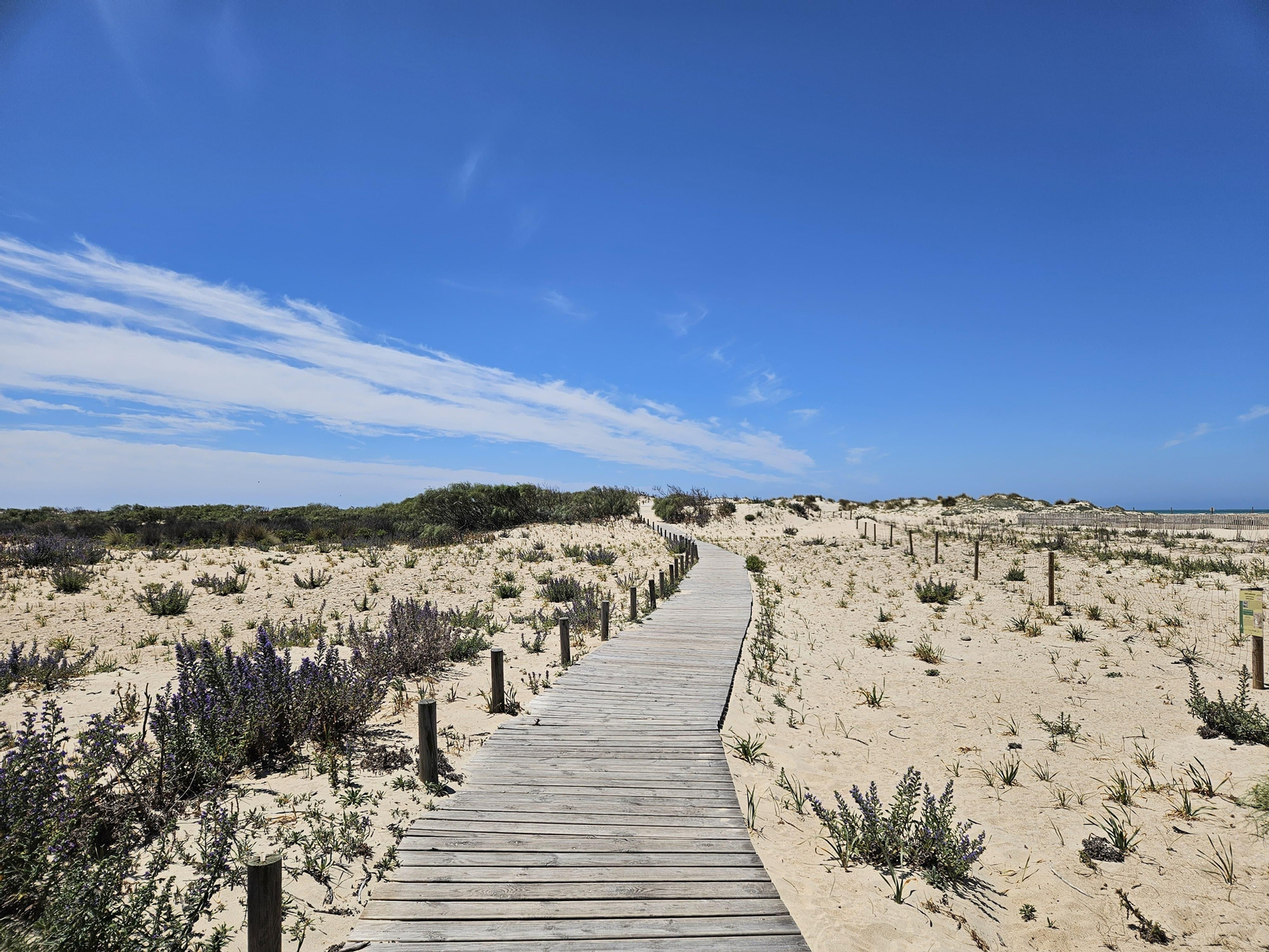 Sendero Punta del Boquerón
