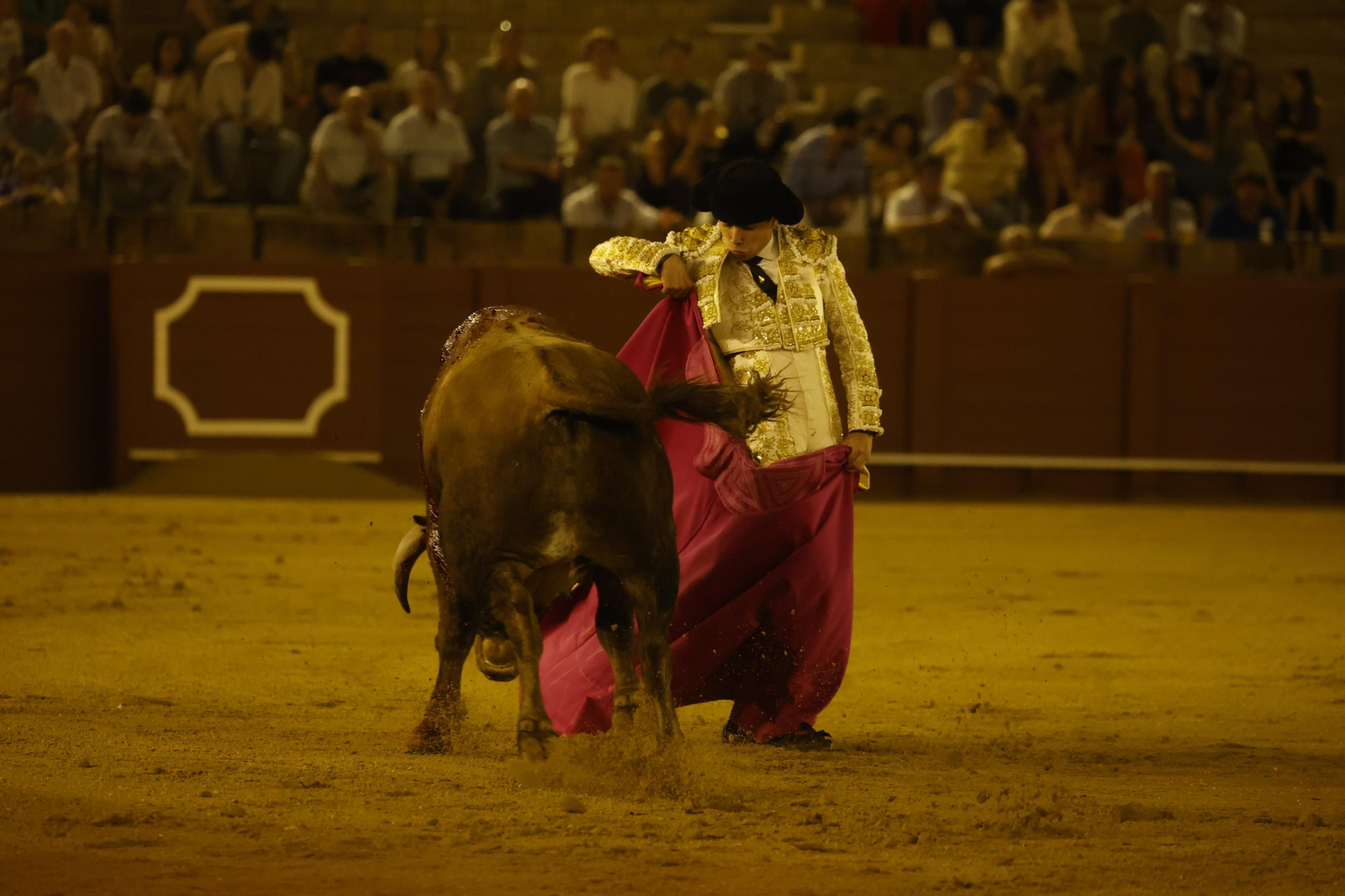 Las imágenes de la novillada en la Maestranza