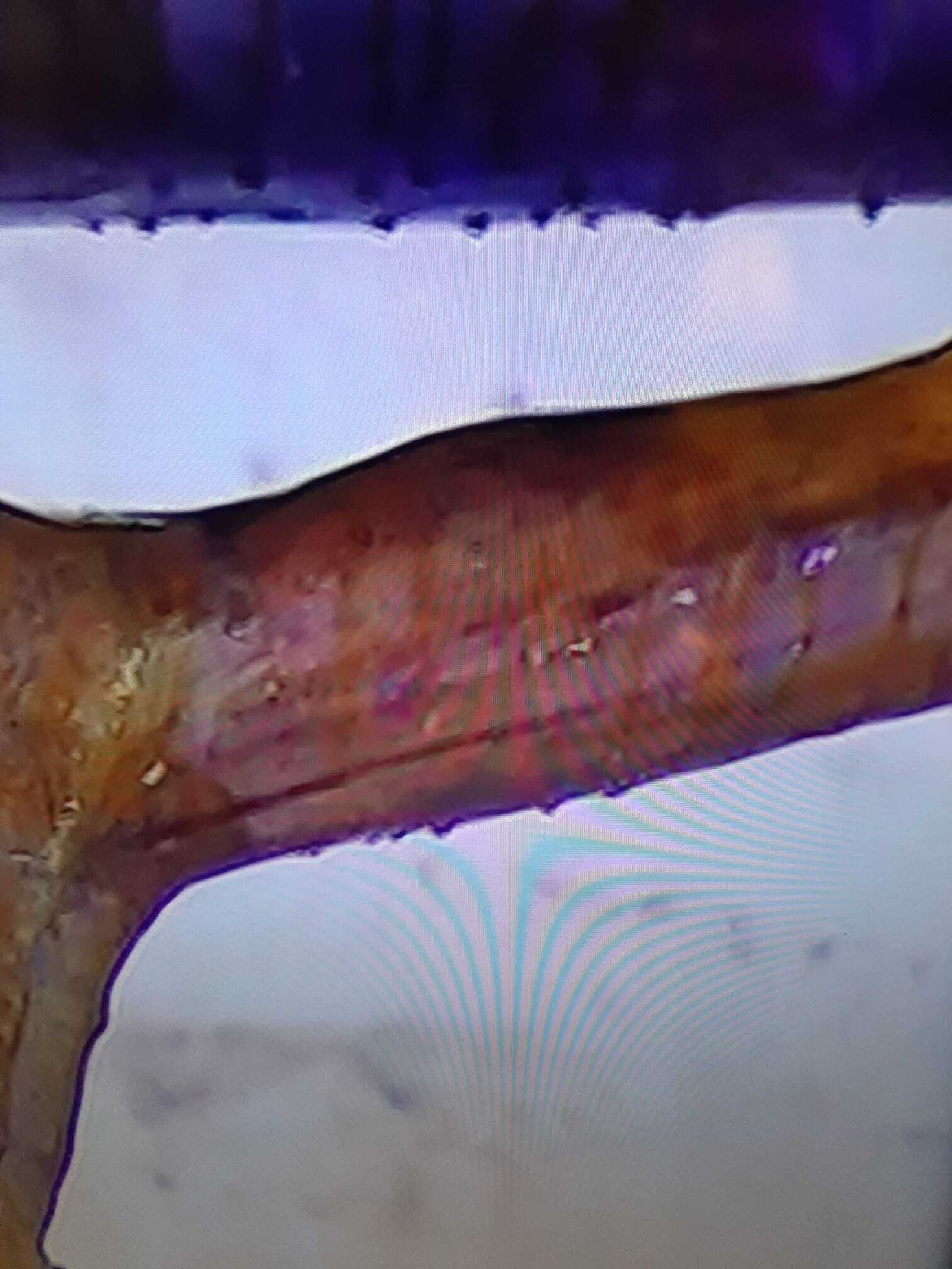 Los goterones de agua en el brazo del crucificado