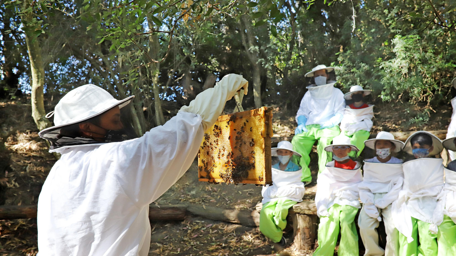 Jerez celebra el Día Mundial de las Abejas Jerez celebra el Día Mundial de las Abejas