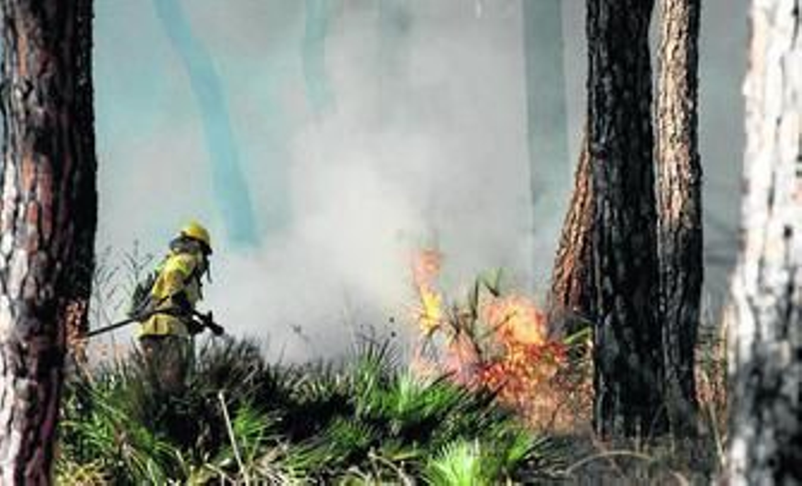 Un efectivo del Plan Infoca trabaja para extinguir las llamas en el incendio de Cartaya del pasado mes de agosto.