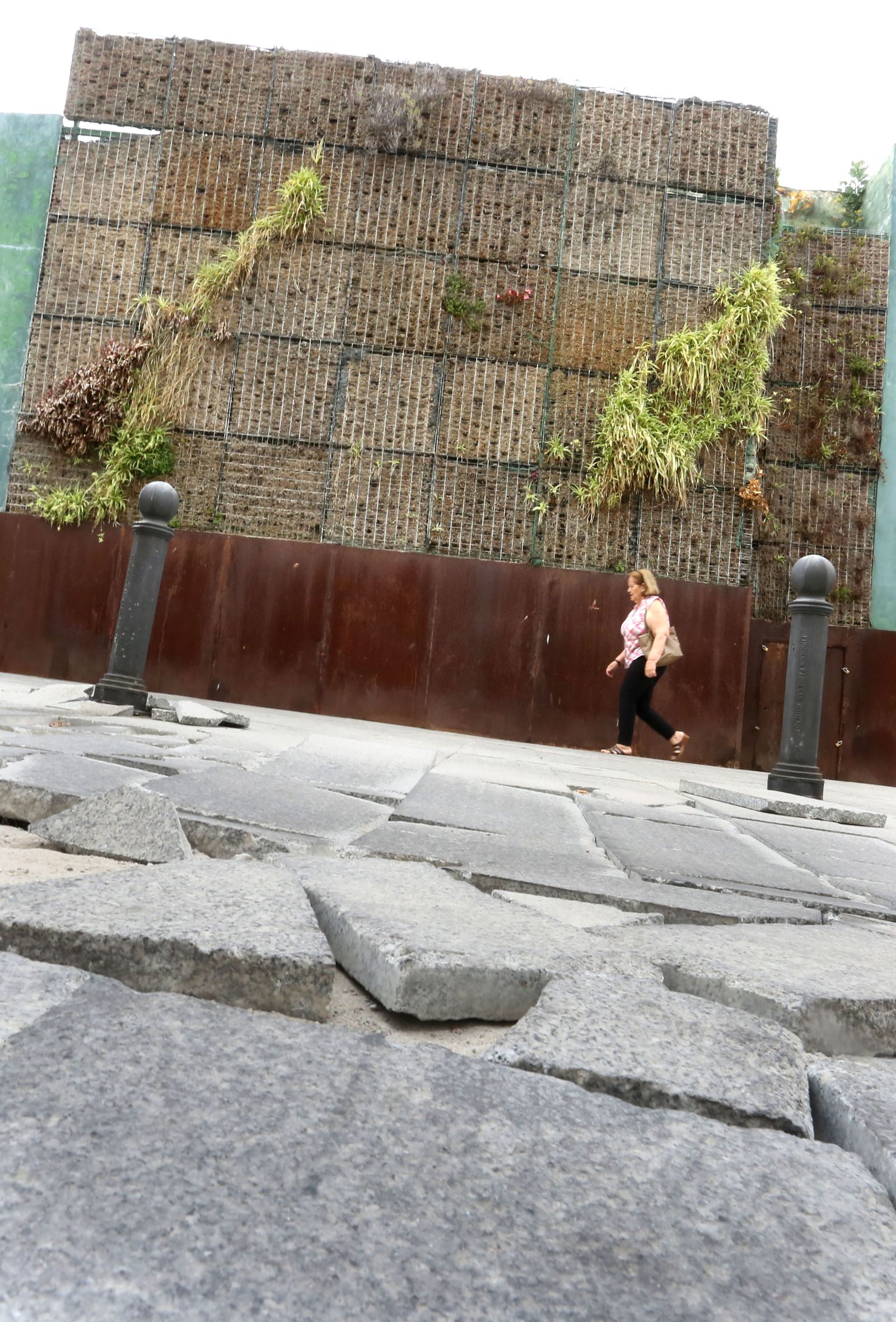 Estado del jardín vertical y del acerado, ayer, junto a San Agustín.