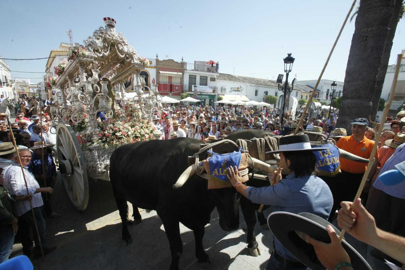 El paso de las hermandades del Rocío por Villamanrique, en imágenes