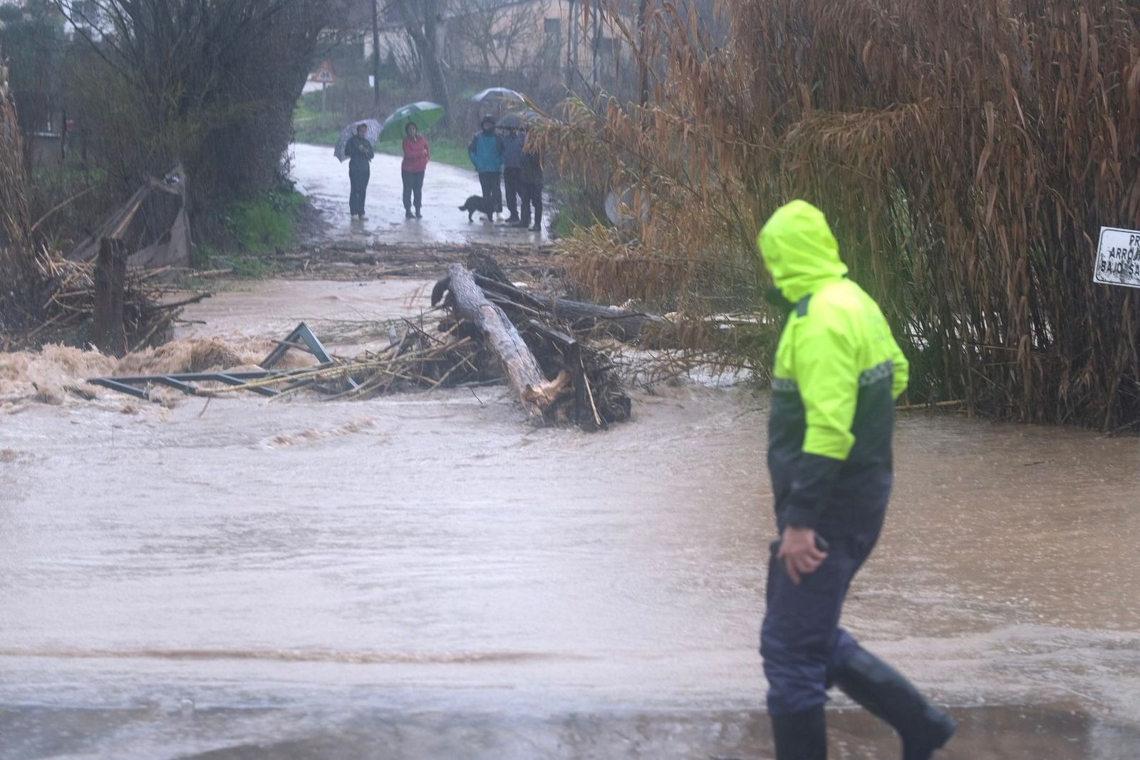 Guadalcobacín en la zona de Pelistre en el Llano de la Cruz, este miércoles.