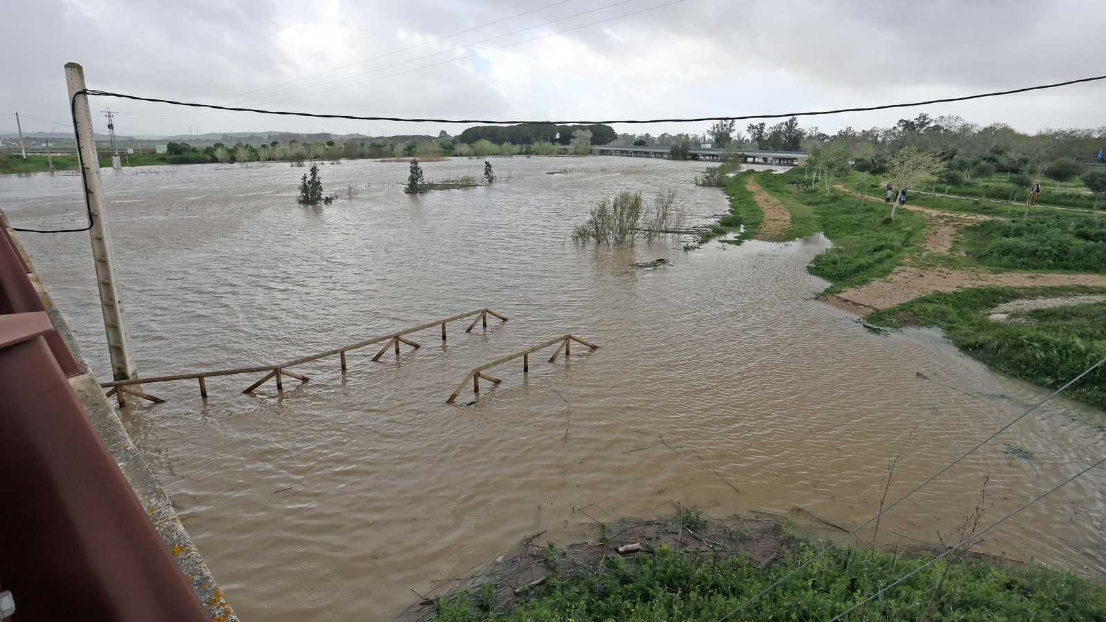Operativo por el desbordamiento del río Guadalete
