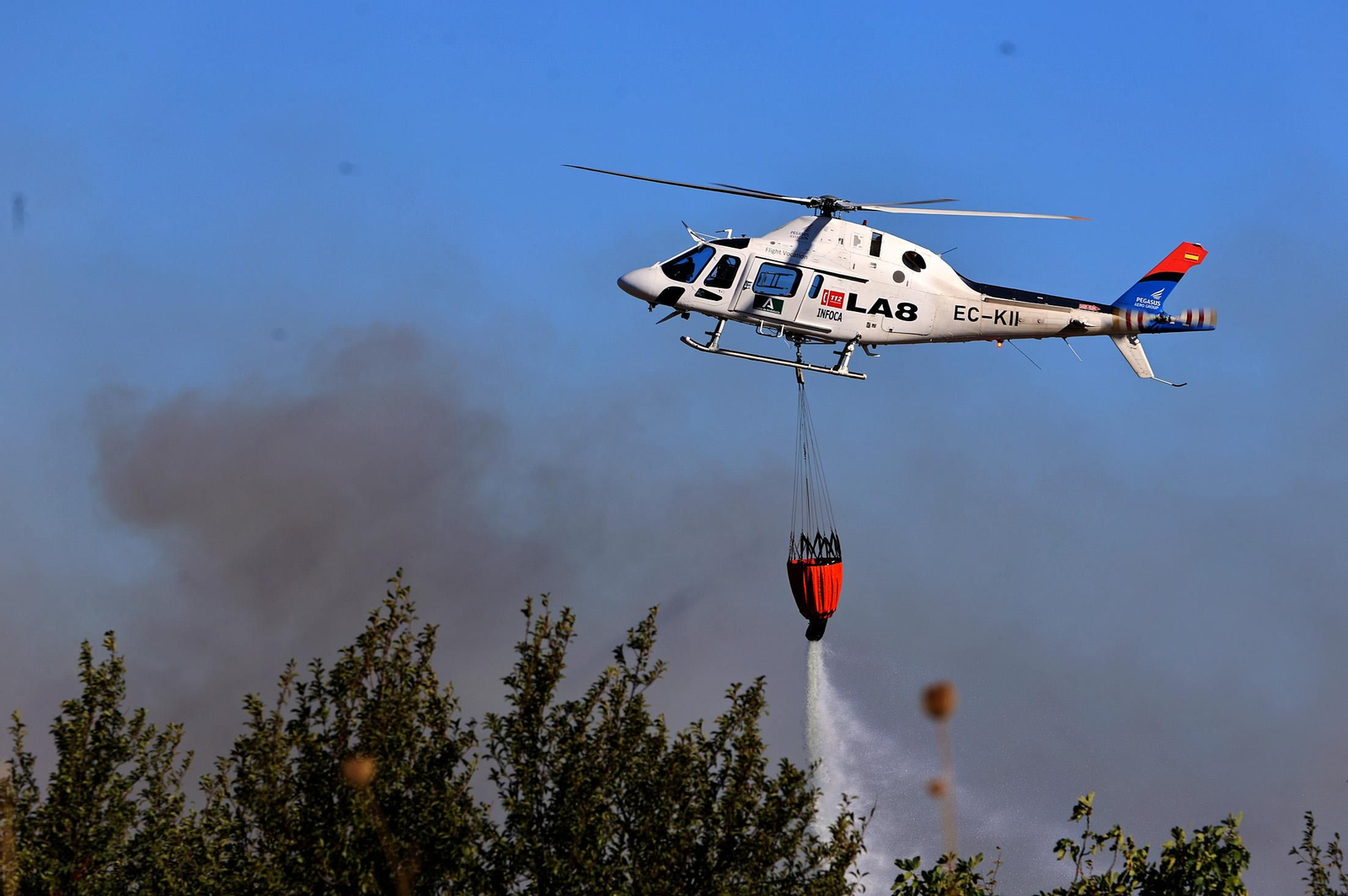 Imágenes del incendio en el Paraje del Arroyo de la Madreselva, en Bollullos par del Condado