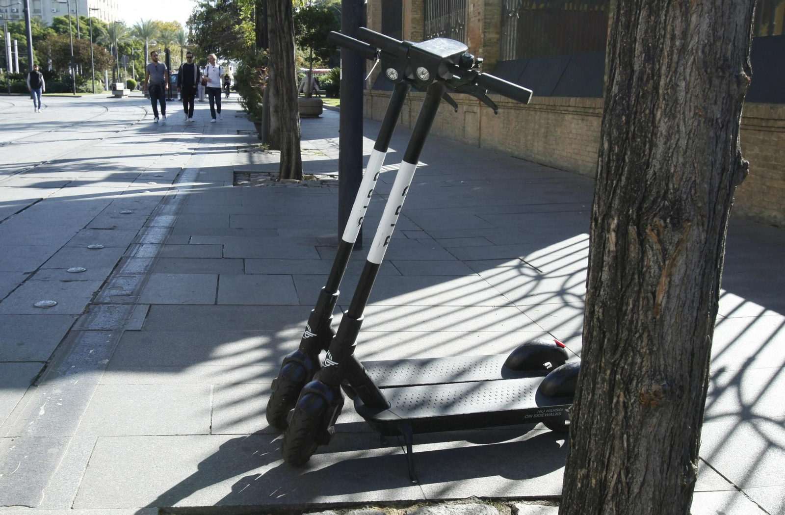 Dos patinetes aparcados junto a un árbol en una calle de Sevilla.