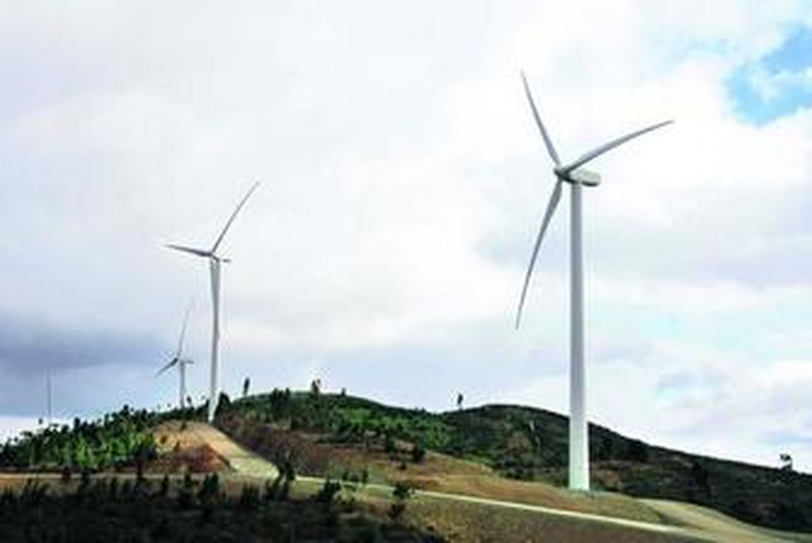 Panorámica de la planta eólica de Iberdrola en Puebla de Guzmán.