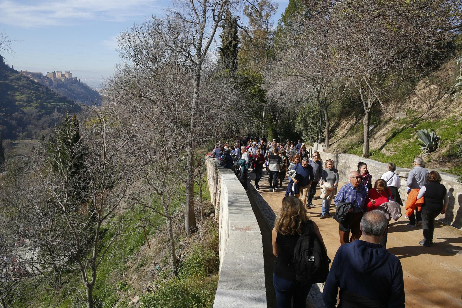 Las mejores imágenes de San Cecilio