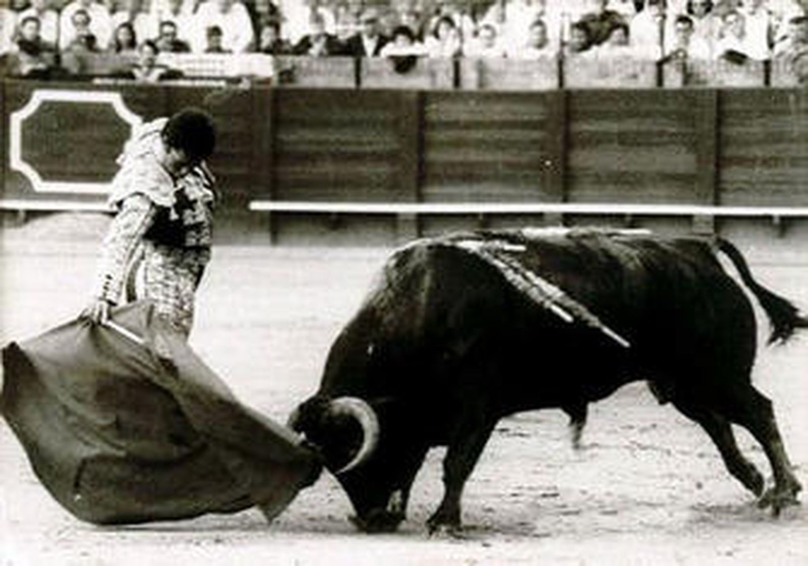 En los medios de la plaza de Sevilla, Francisco Rivera lleva al toro embebido en los vuelos de su poderosa muleta.