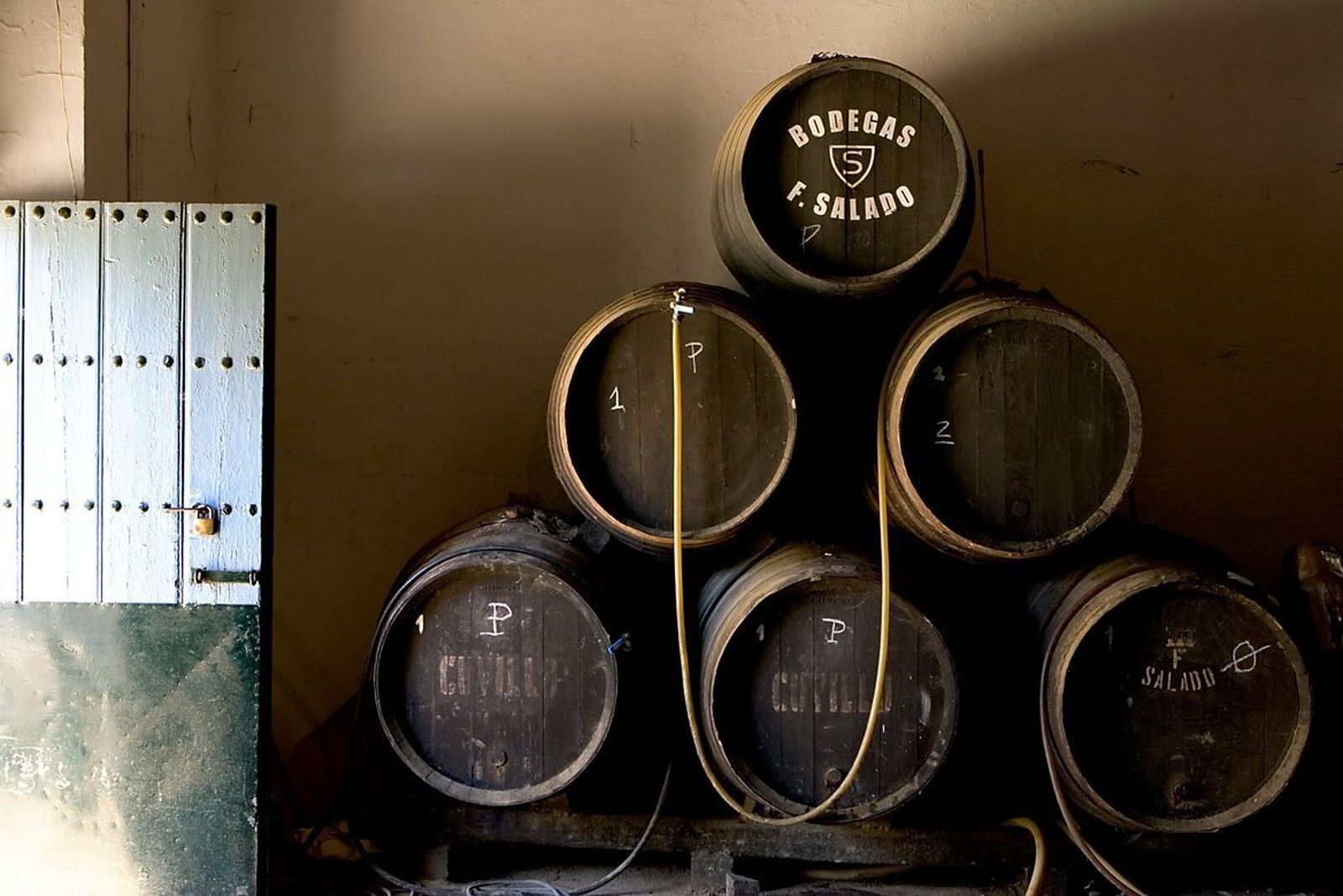 Las Bodegas Salado, fundadas en 1810 y ubicada en el Aljarafe sevillano, formarán parte de los recorridos enoturísticos programados para el último trimestre del presente año.