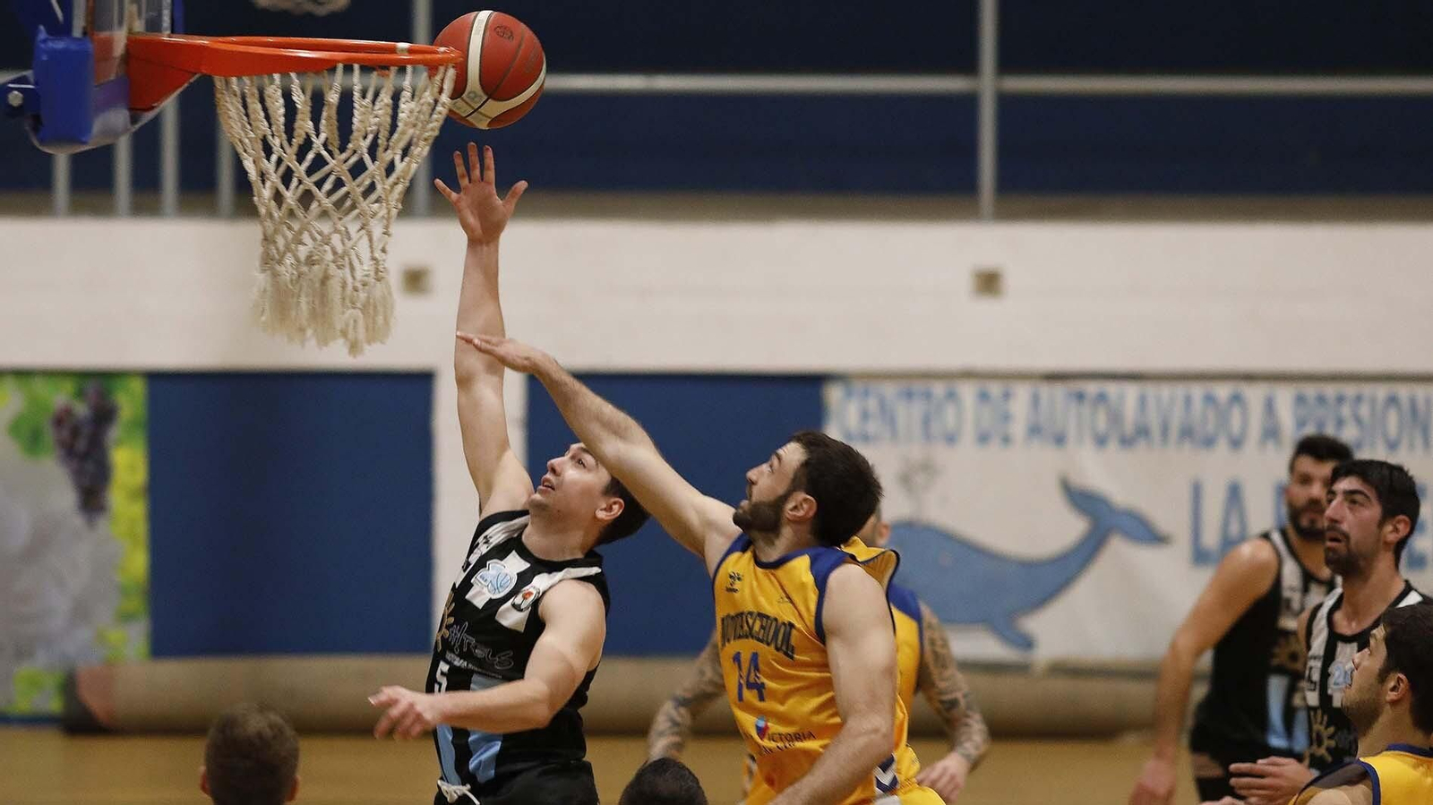 La Unión Linense de Baloncesto - Novaschool de Málaga