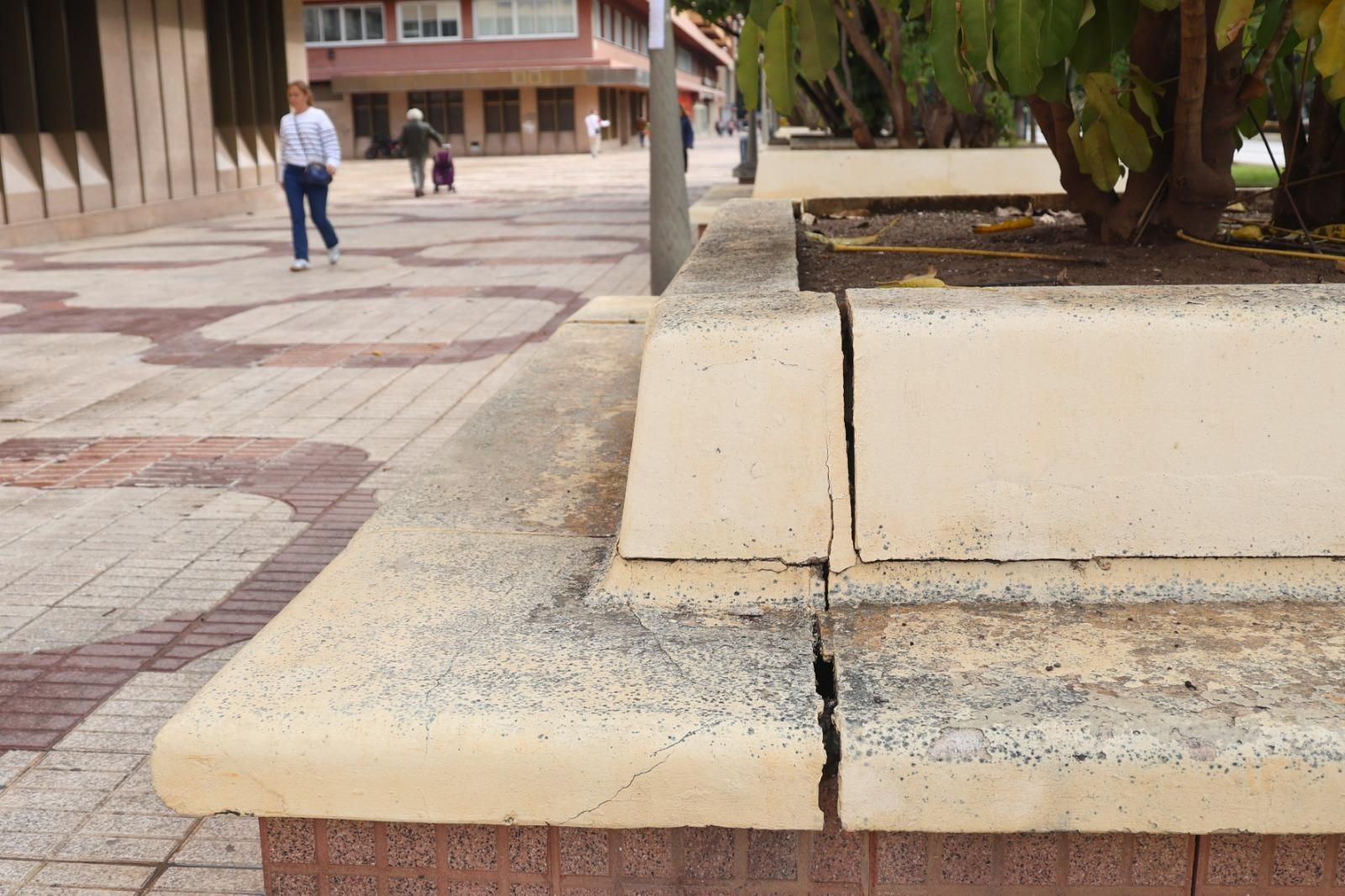 Así están los bancos de la Avenida de Andalucía