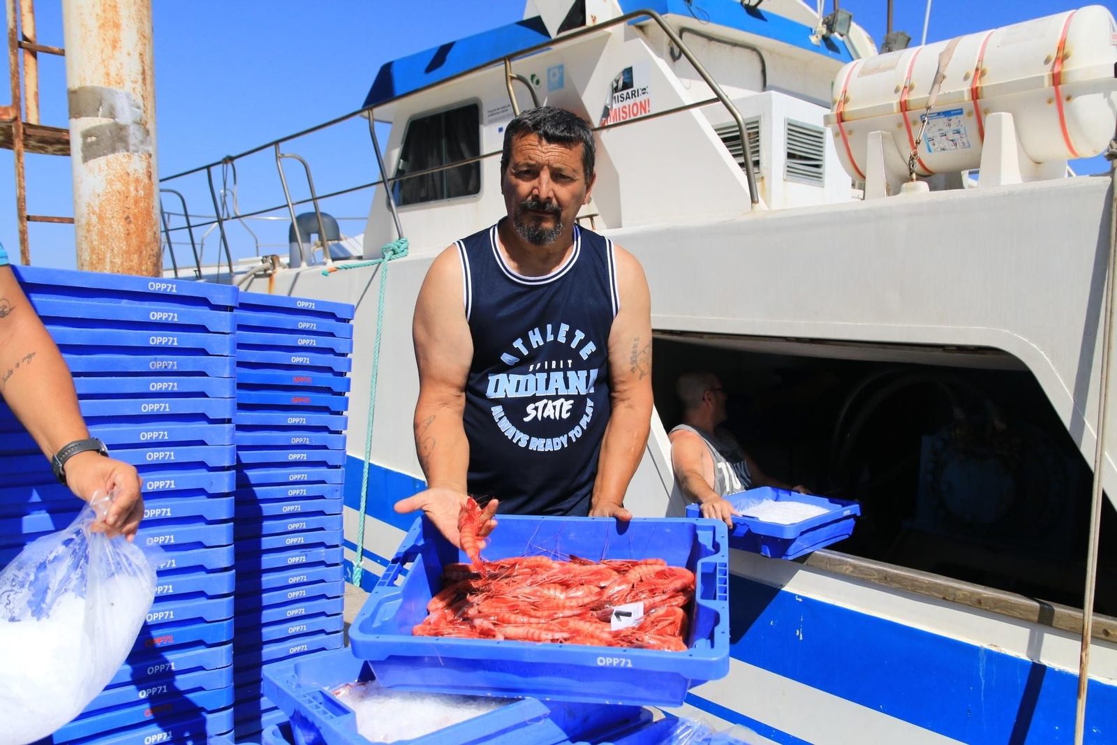 Vea cómo se descargan y se venden en la lonja la Gamba Roja de Almería