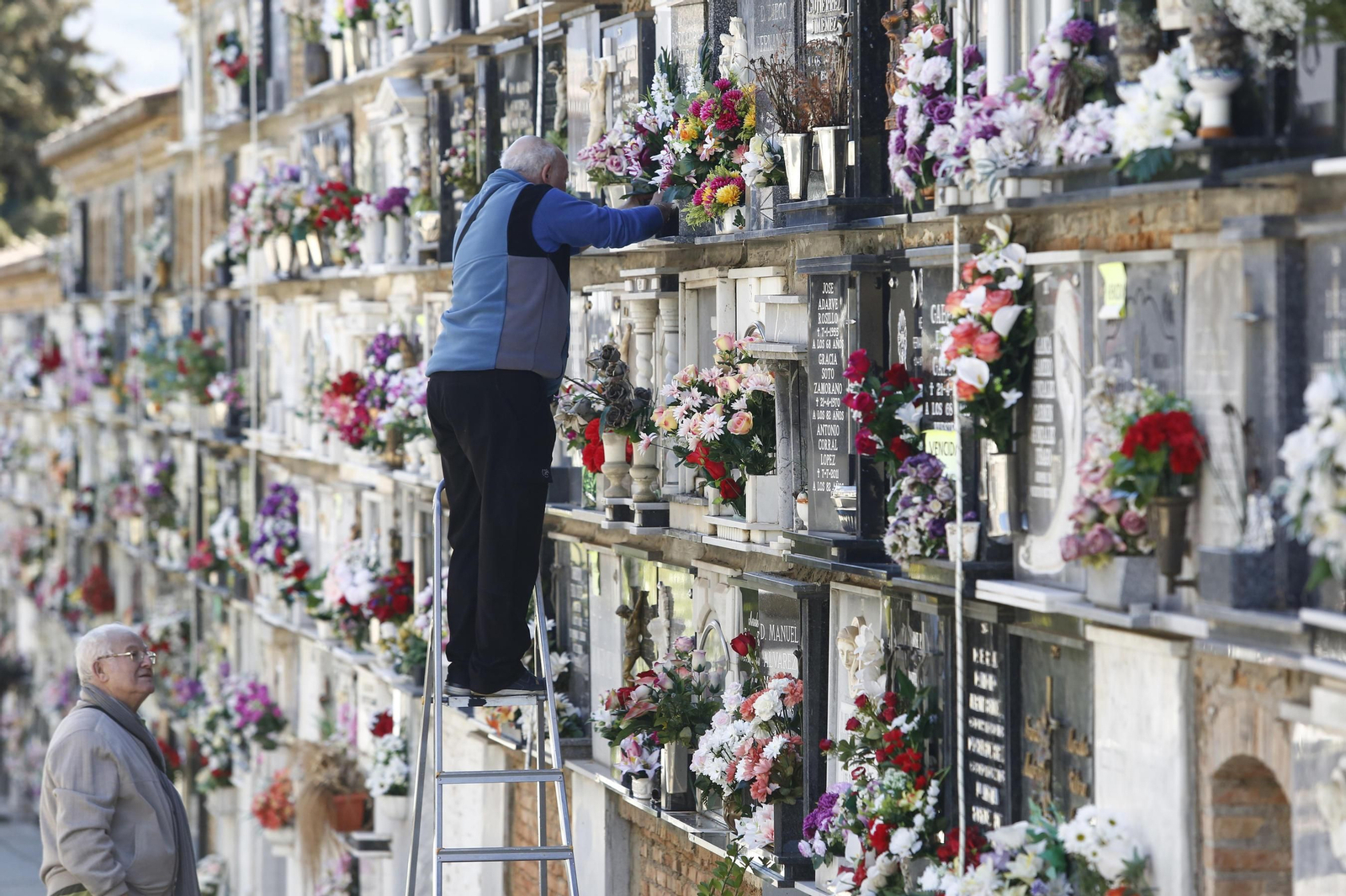 Las imágenes de Día de todos los santos en el cementerio