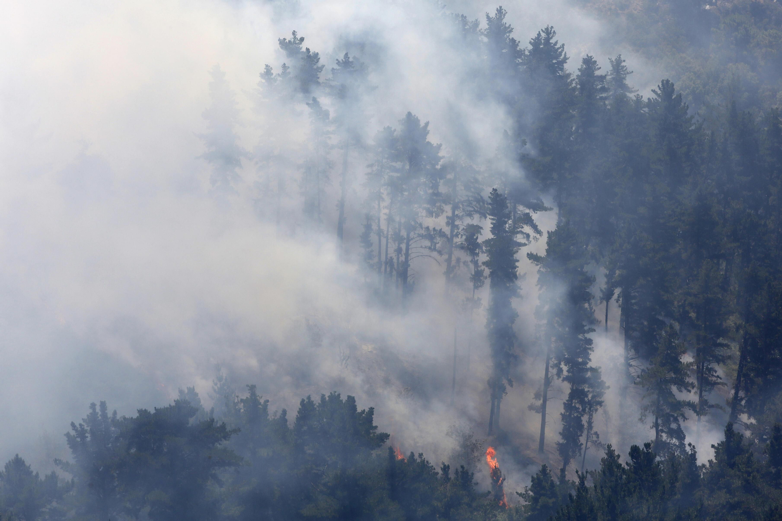 Las fotos del tercer día del incendio en Sierra Bermeja